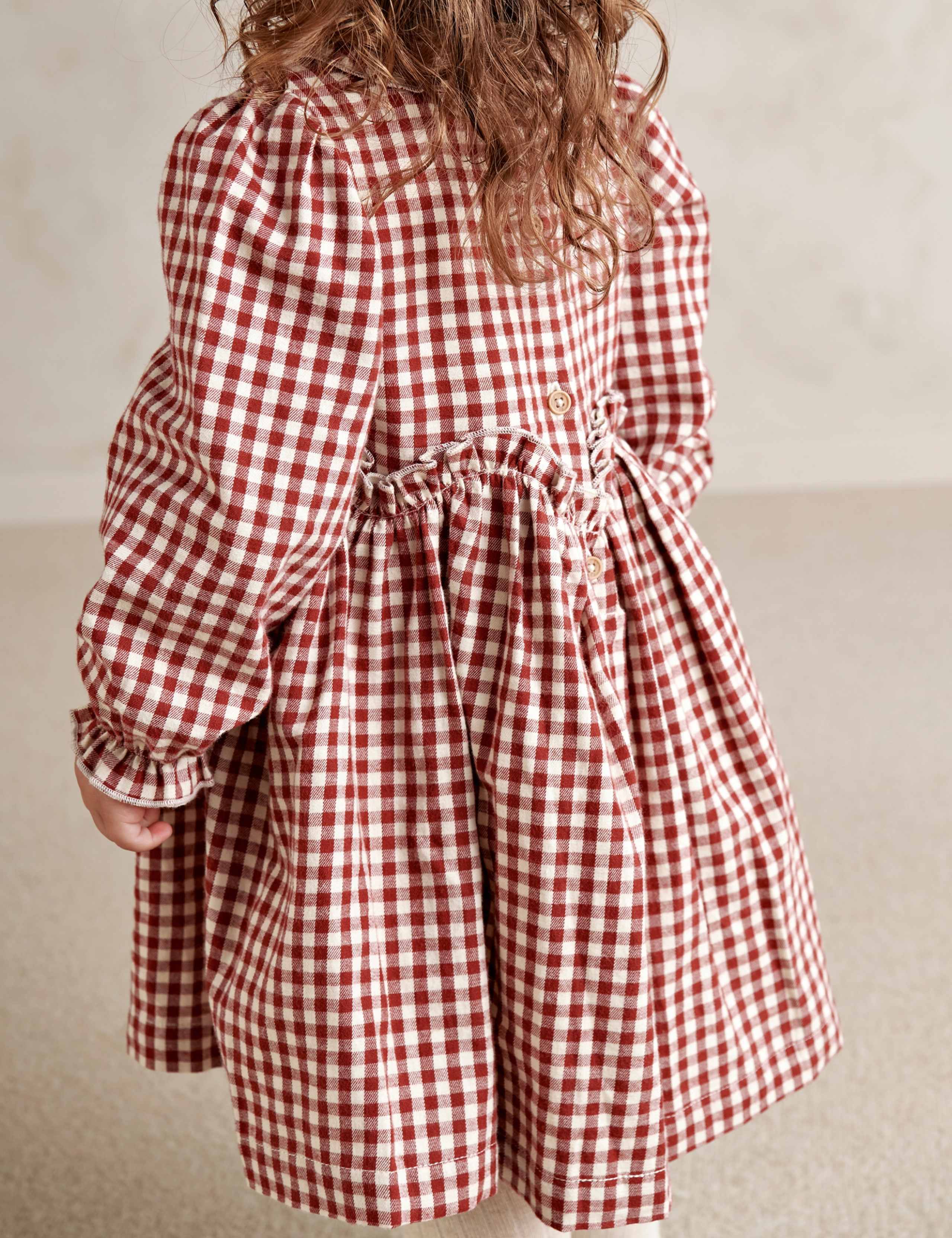 Pure Cotton Gingham Dress (0-24 Months) 4 of 9