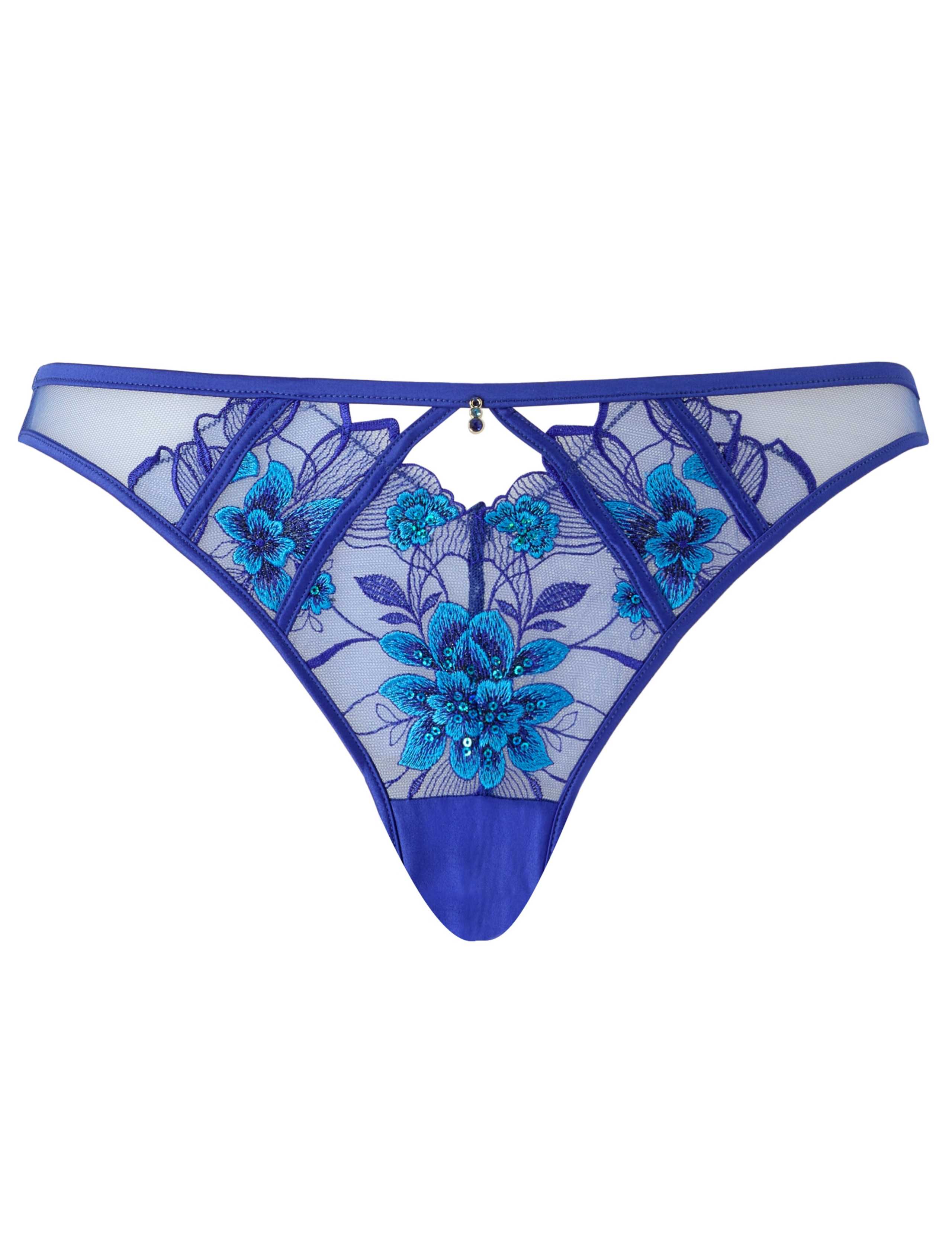 Embroidered Mesh Brazilian Knickers 2 of 4