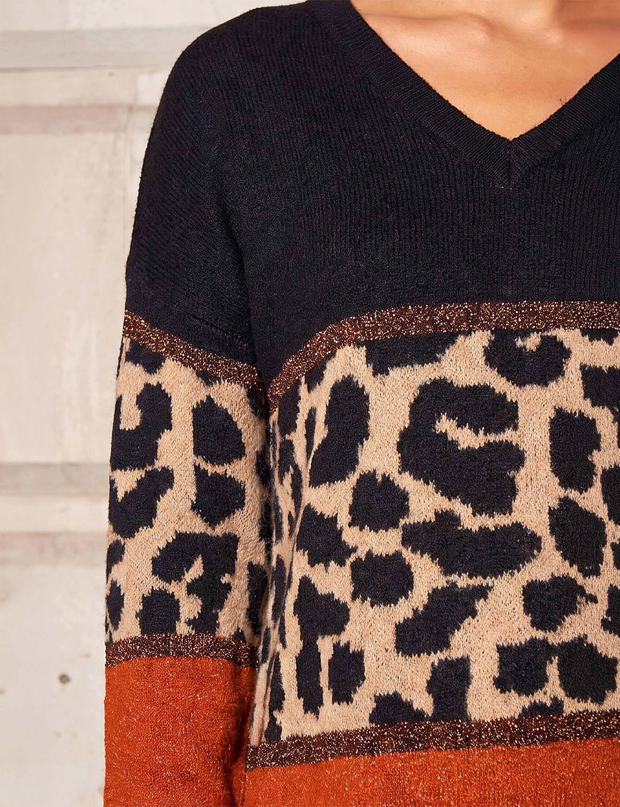 Petite Animal Print Colour Block V-Neck Jumper 4 of 4