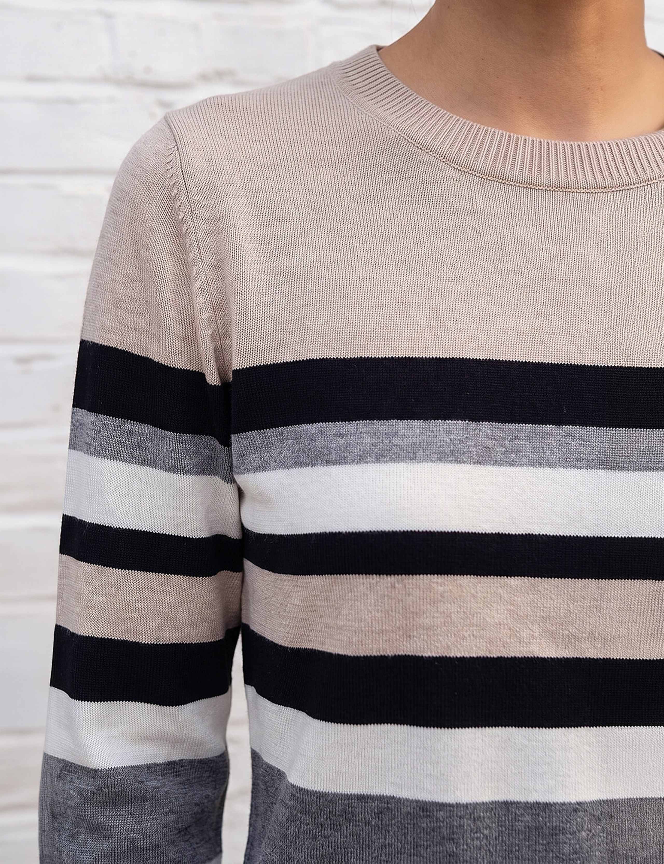 Petite Striped Crew Neck Jumper 4 of 4
