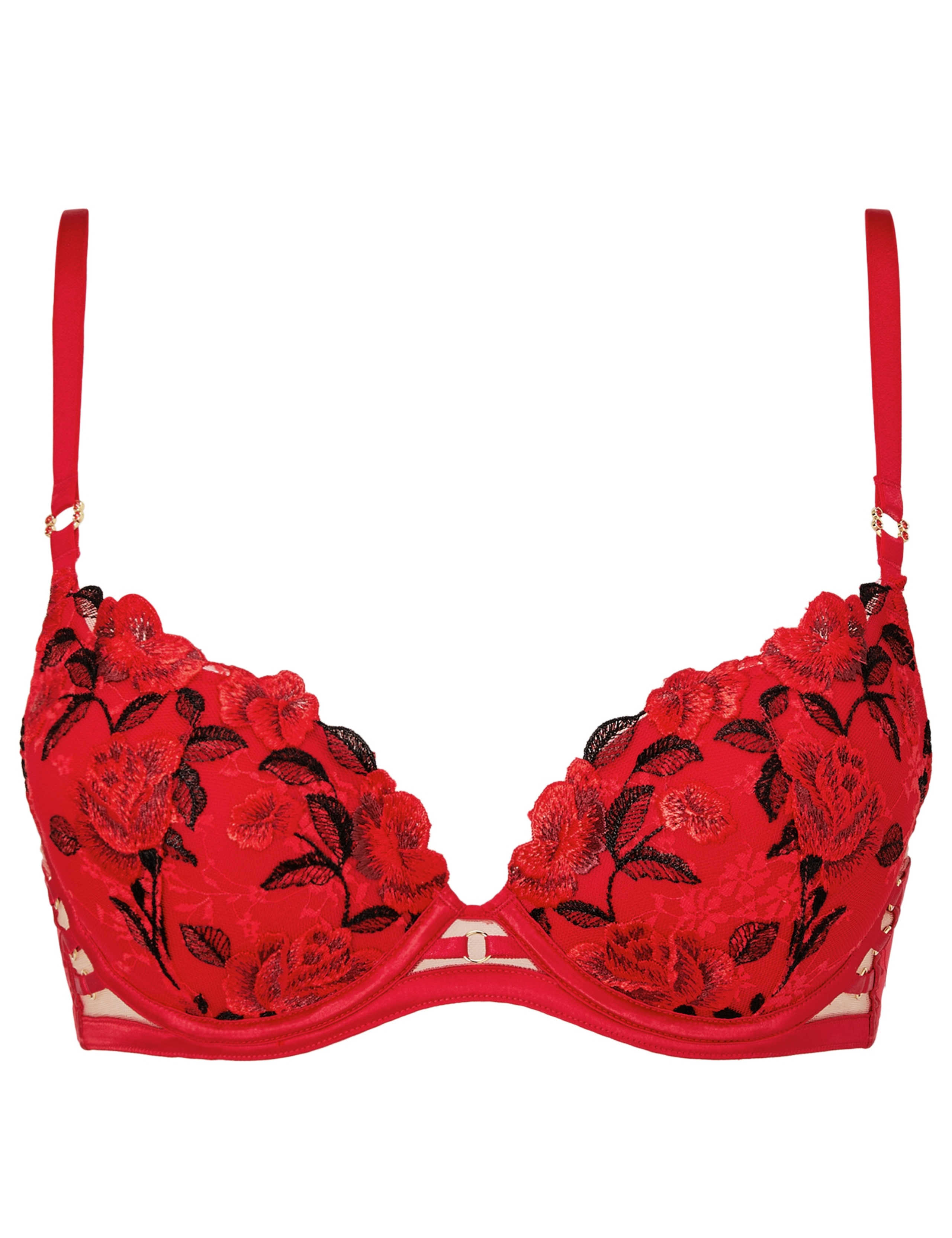 Embroidered Padded Plunge Bra 2 of 5