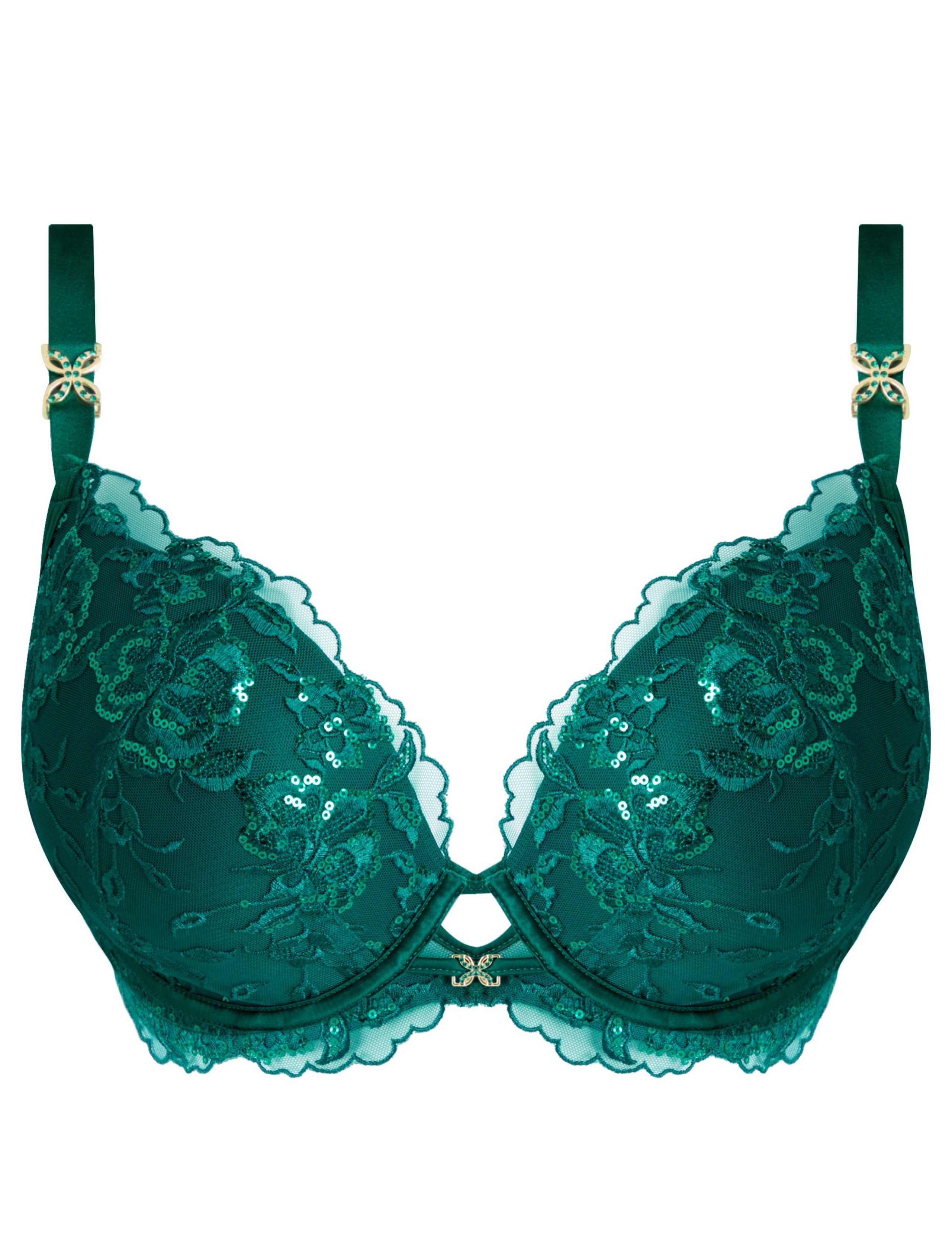 Embroidered Padded Plunge Bra 8 of 10