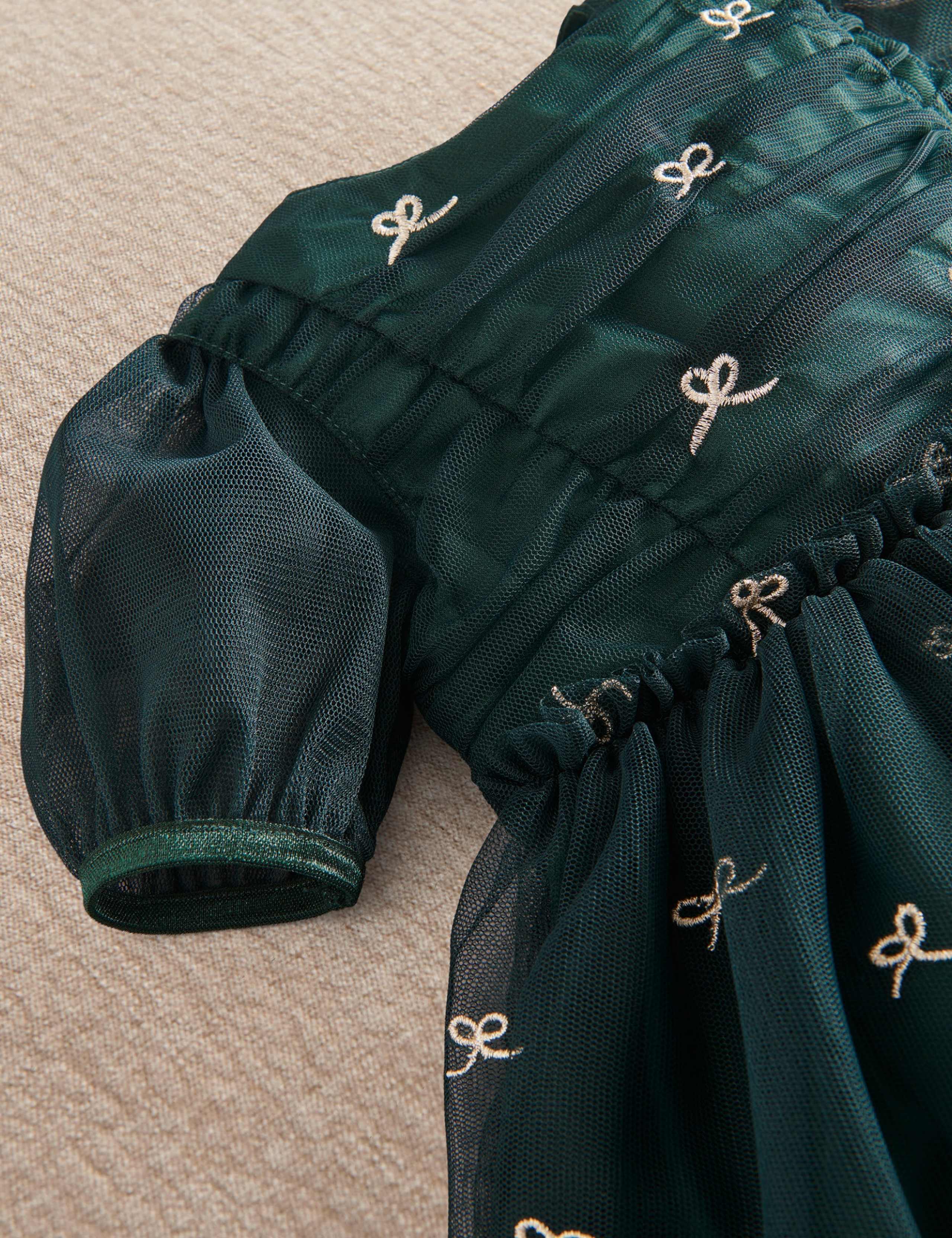 Embroidered Bow Party Dress (0-3 Yrs) 7 of 8