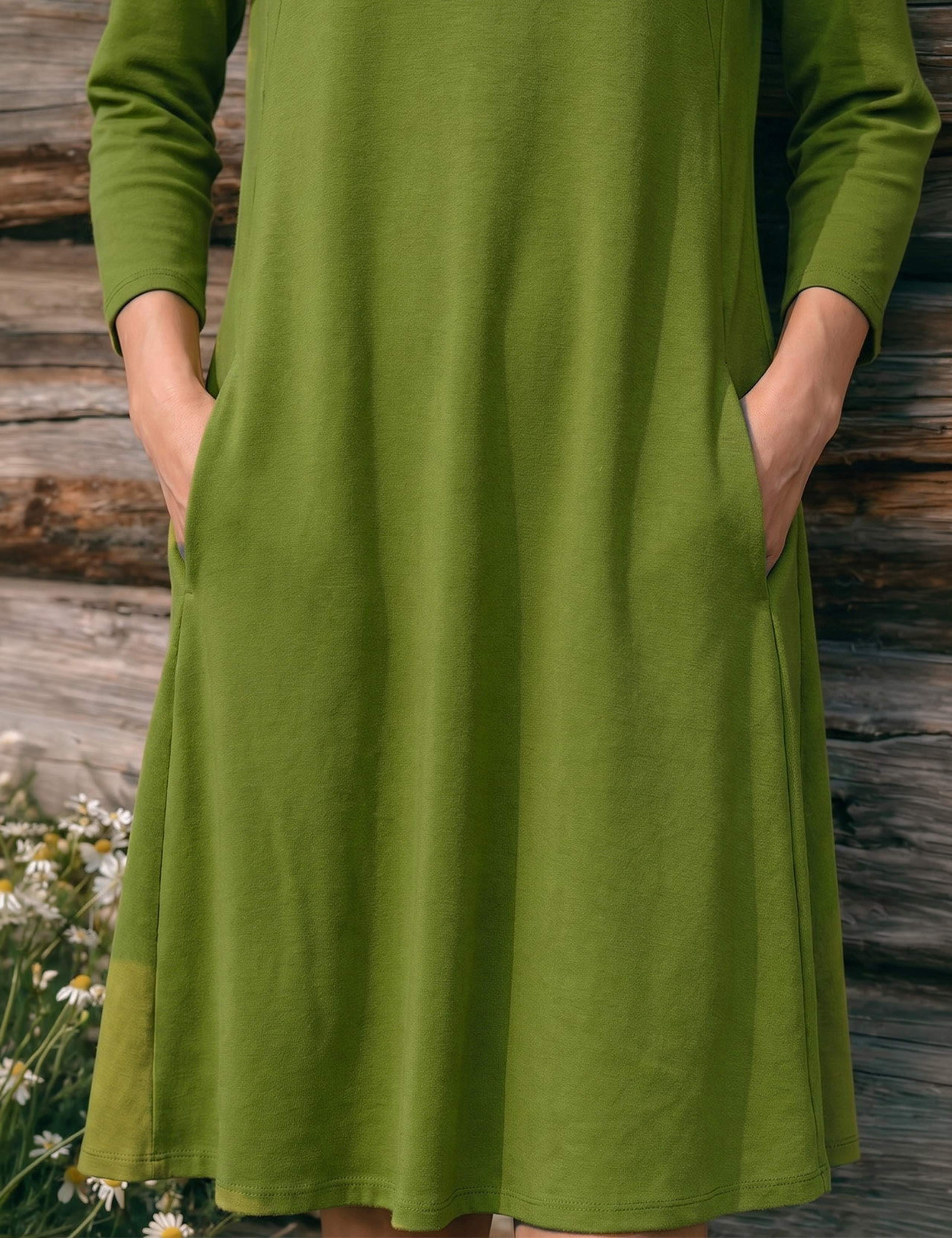 Asymmetric Neck Knee Length Swing Dress 4 of 4