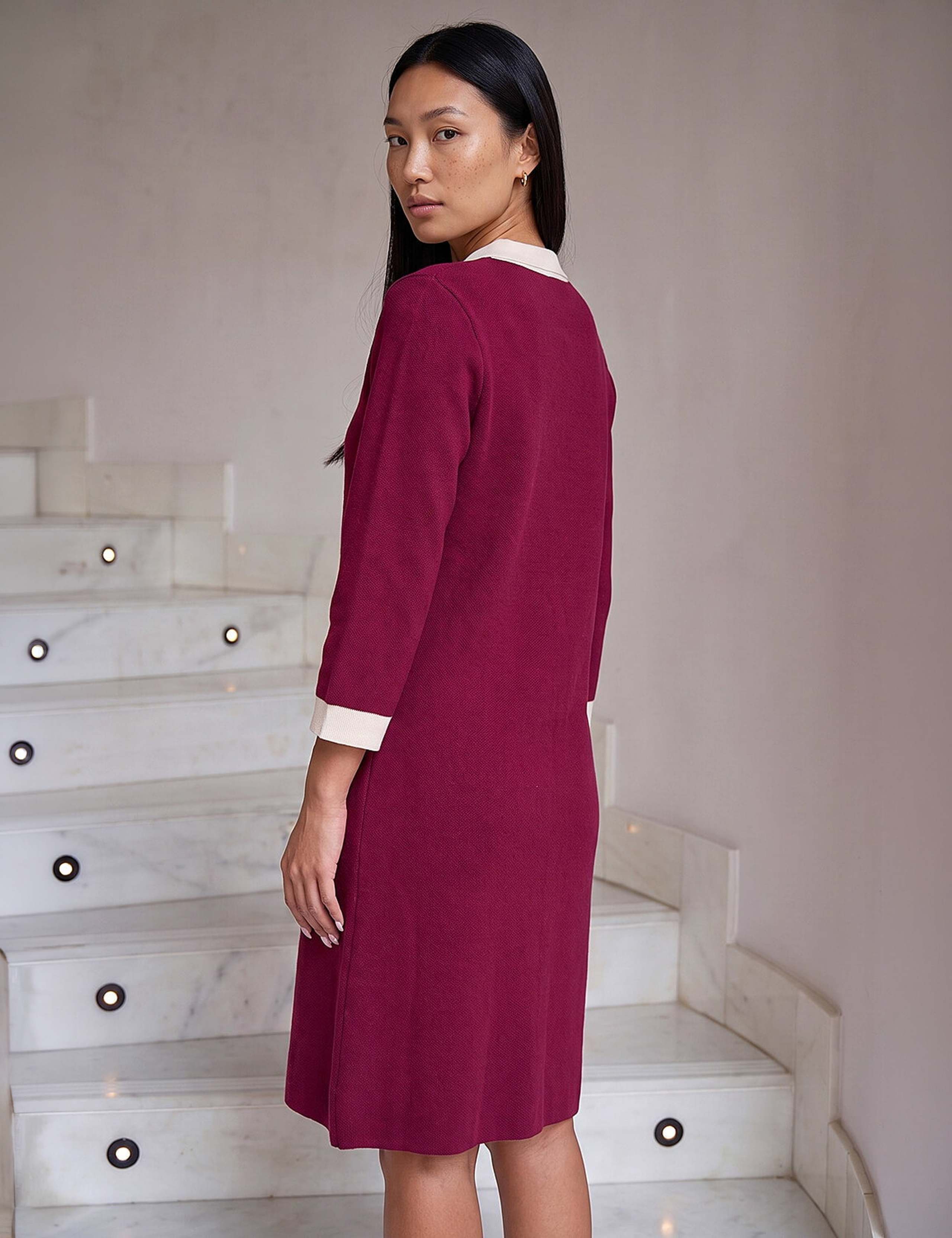 Contrast Collar Knee Length Dress 2 of 4