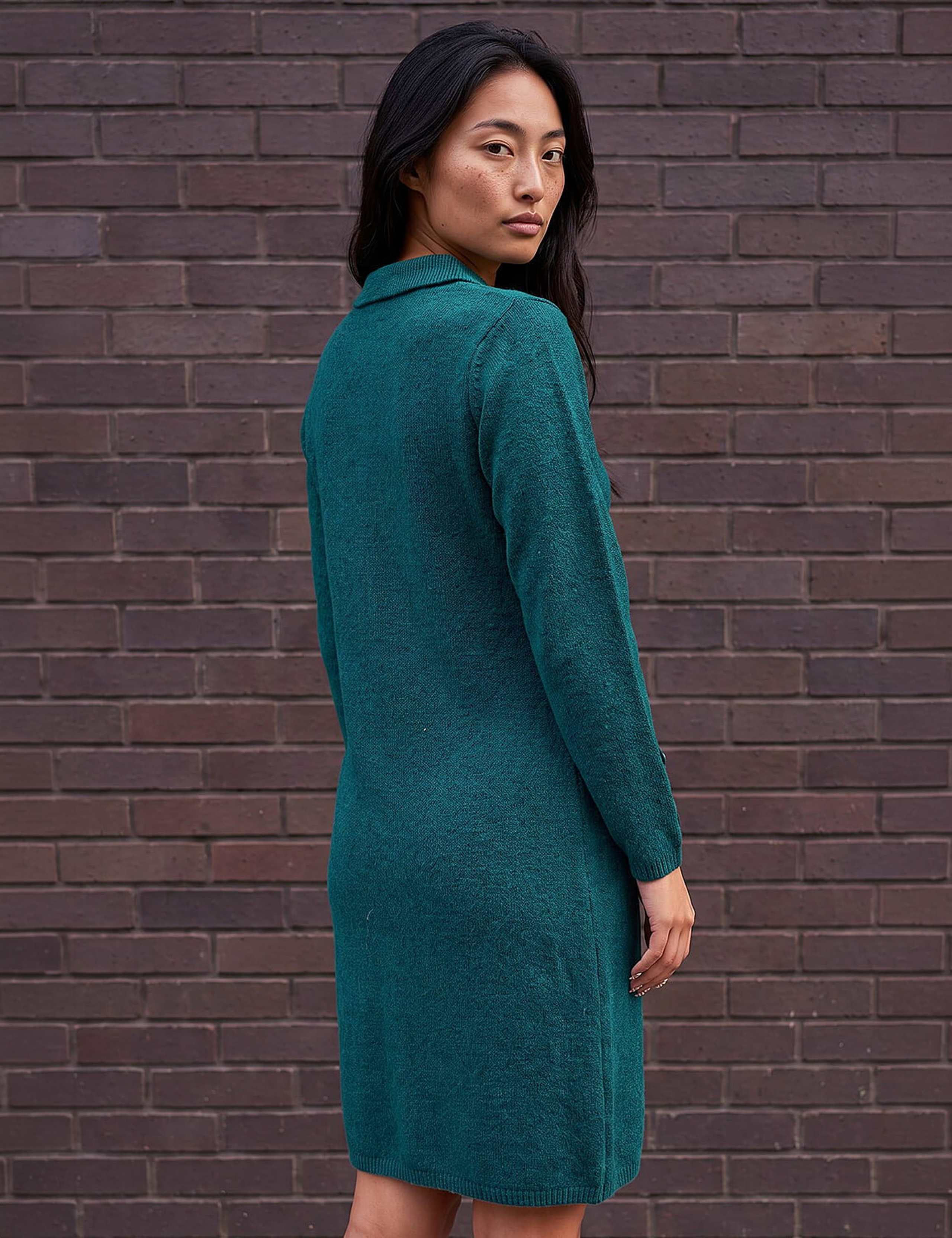 Petite Collared Knitted Shift Dress 2 of 4