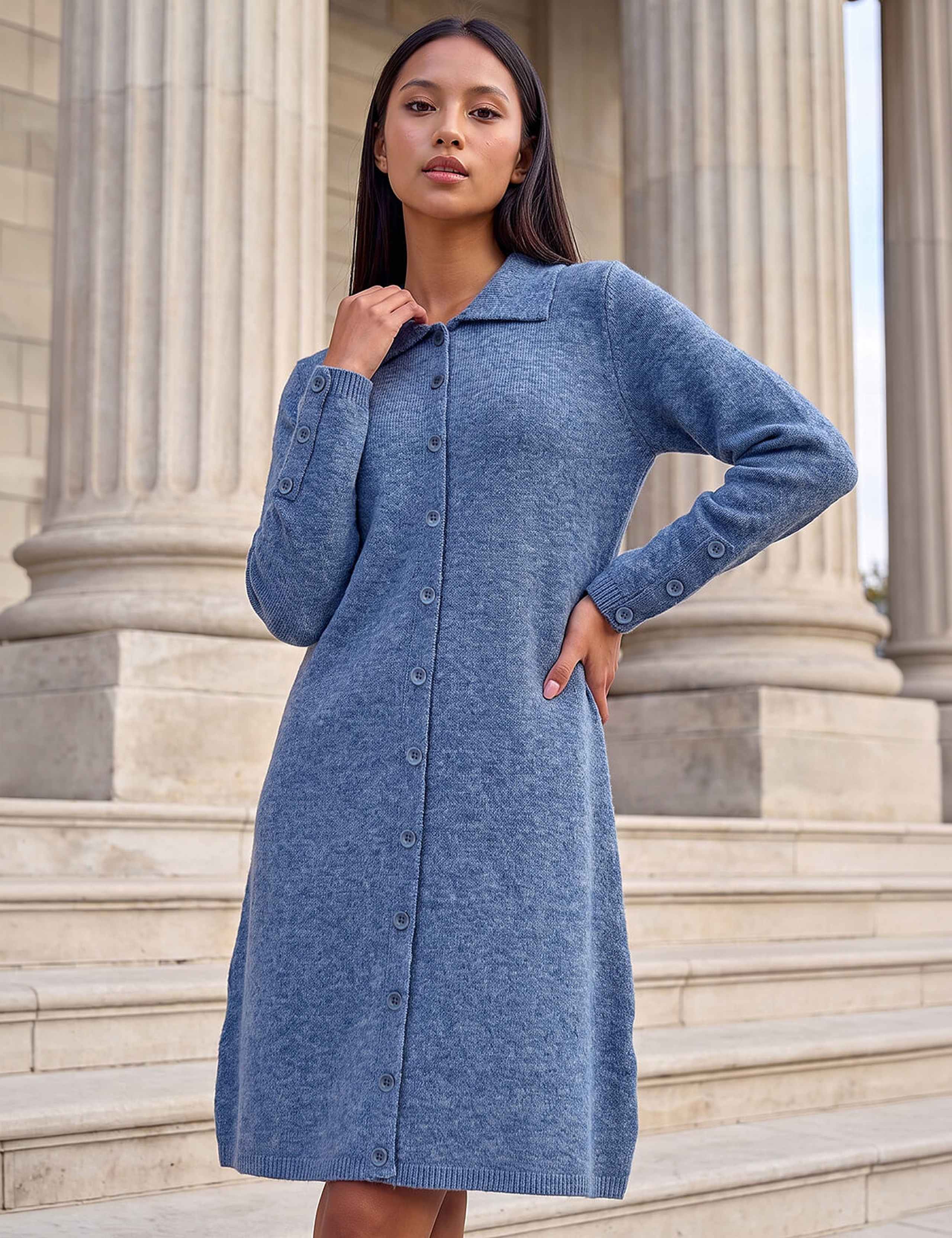 Petite Collared Knitted Shift Dress 3 of 4