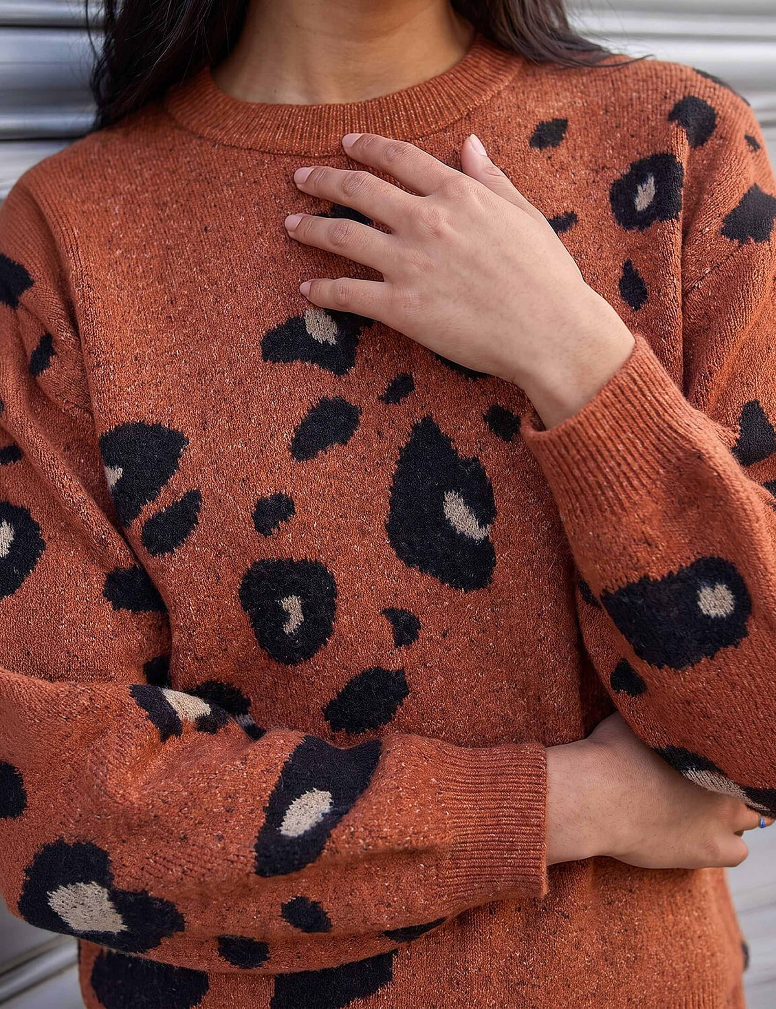 Animal Print Jumper 4 of 4
