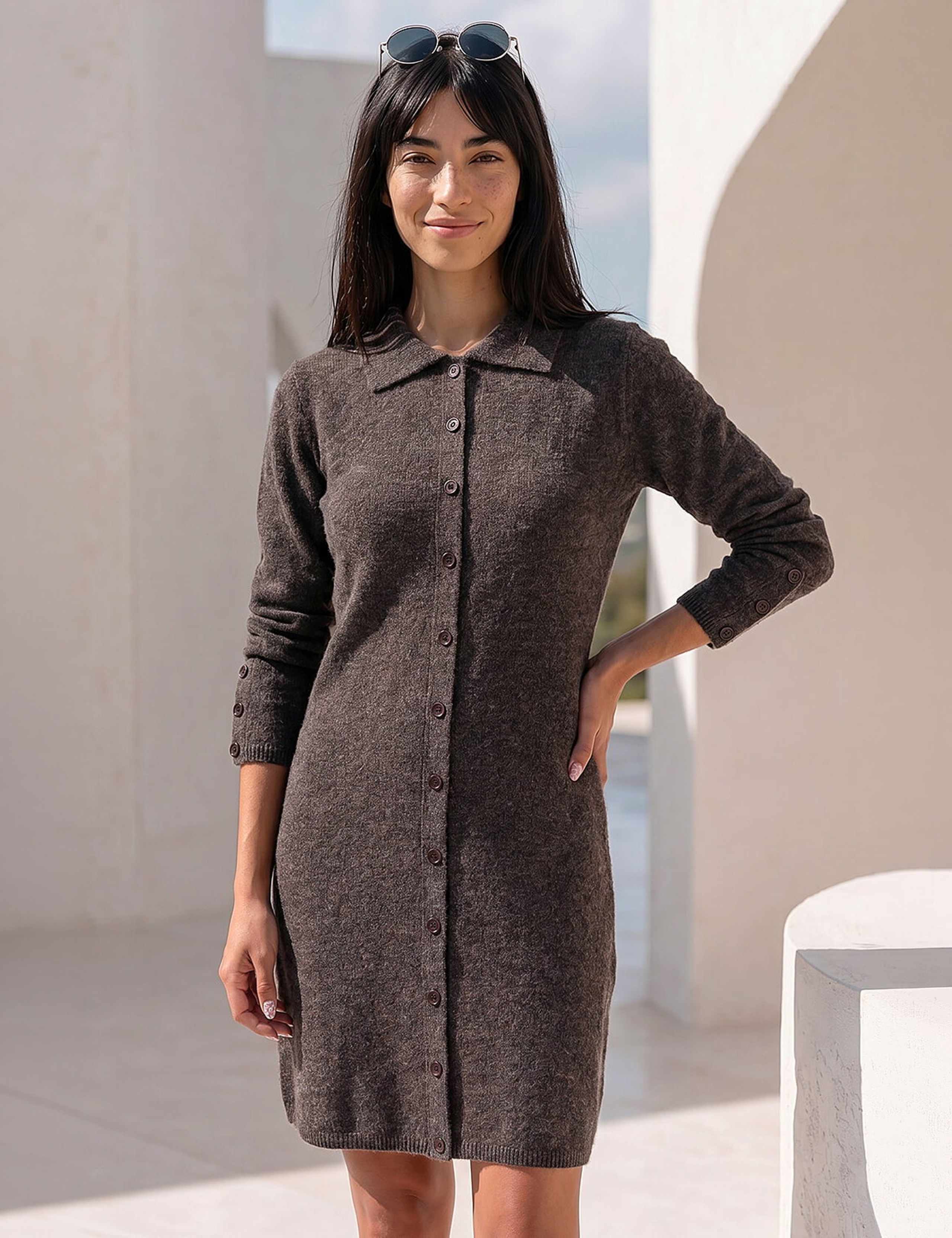 Collared Button Through Knit Shift Dress 1 of 4