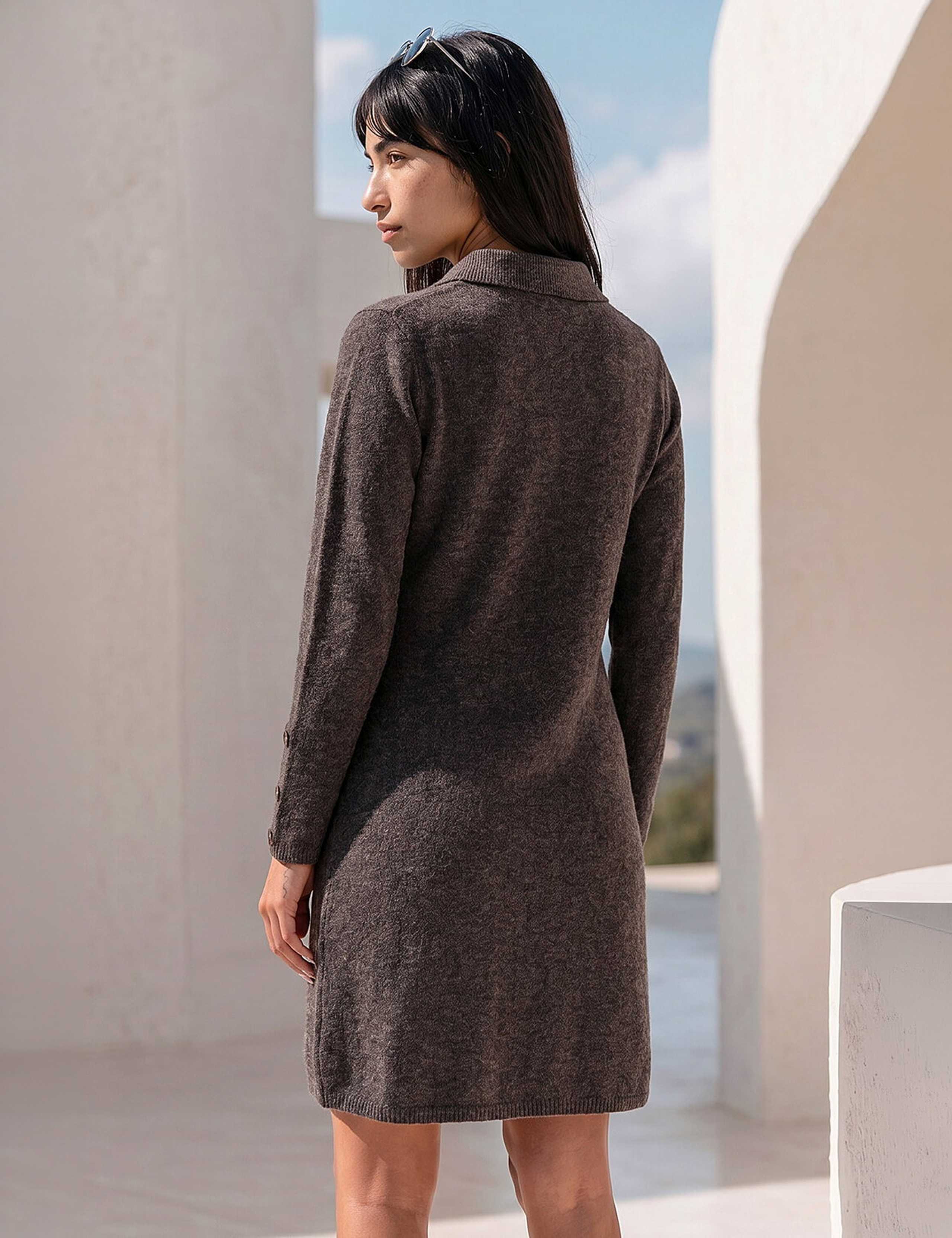 Collared Button Through Knit Shift Dress 3 of 4