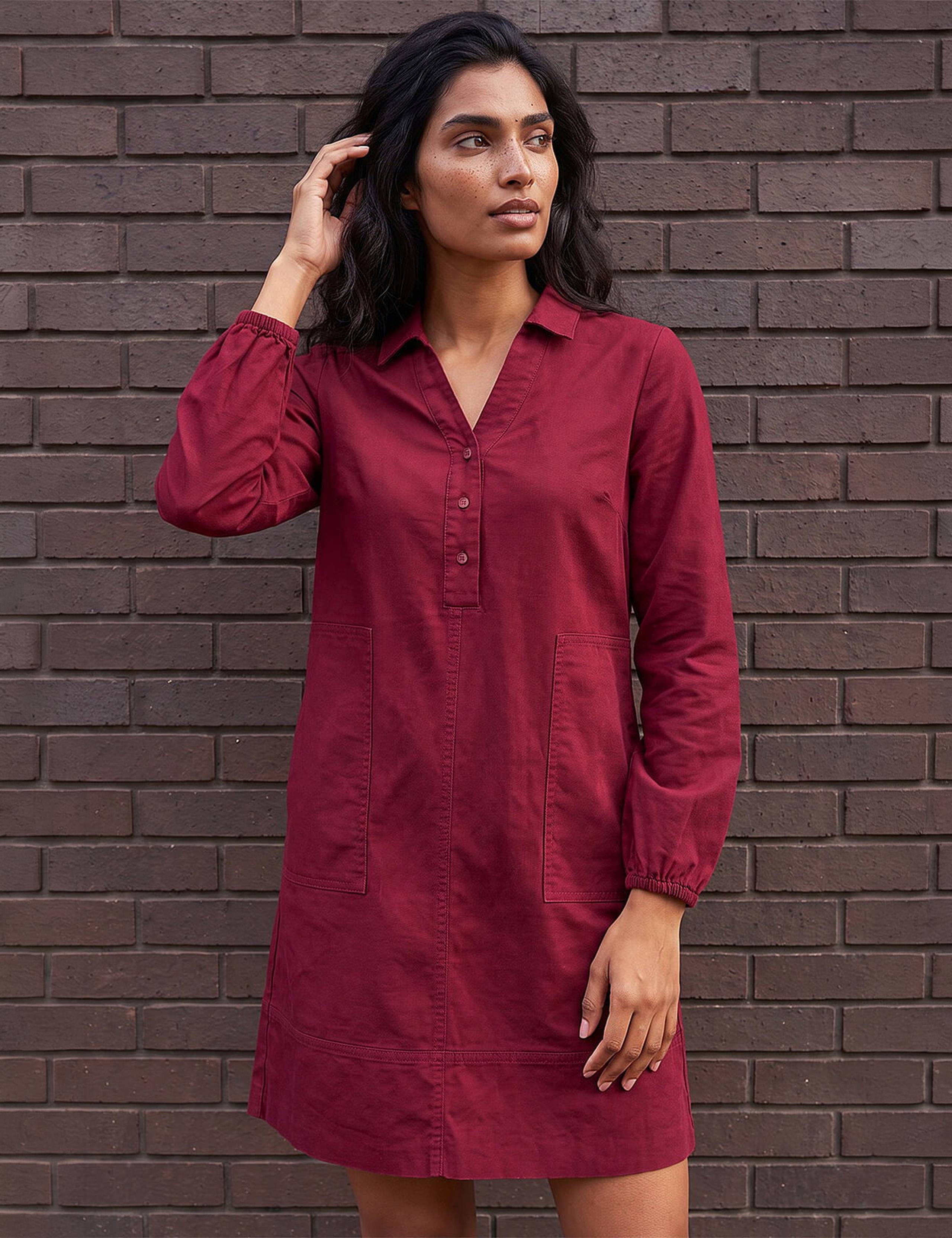 Pure Cotton Collared Button Detail Knee Length Shirt Dress 2 of 4