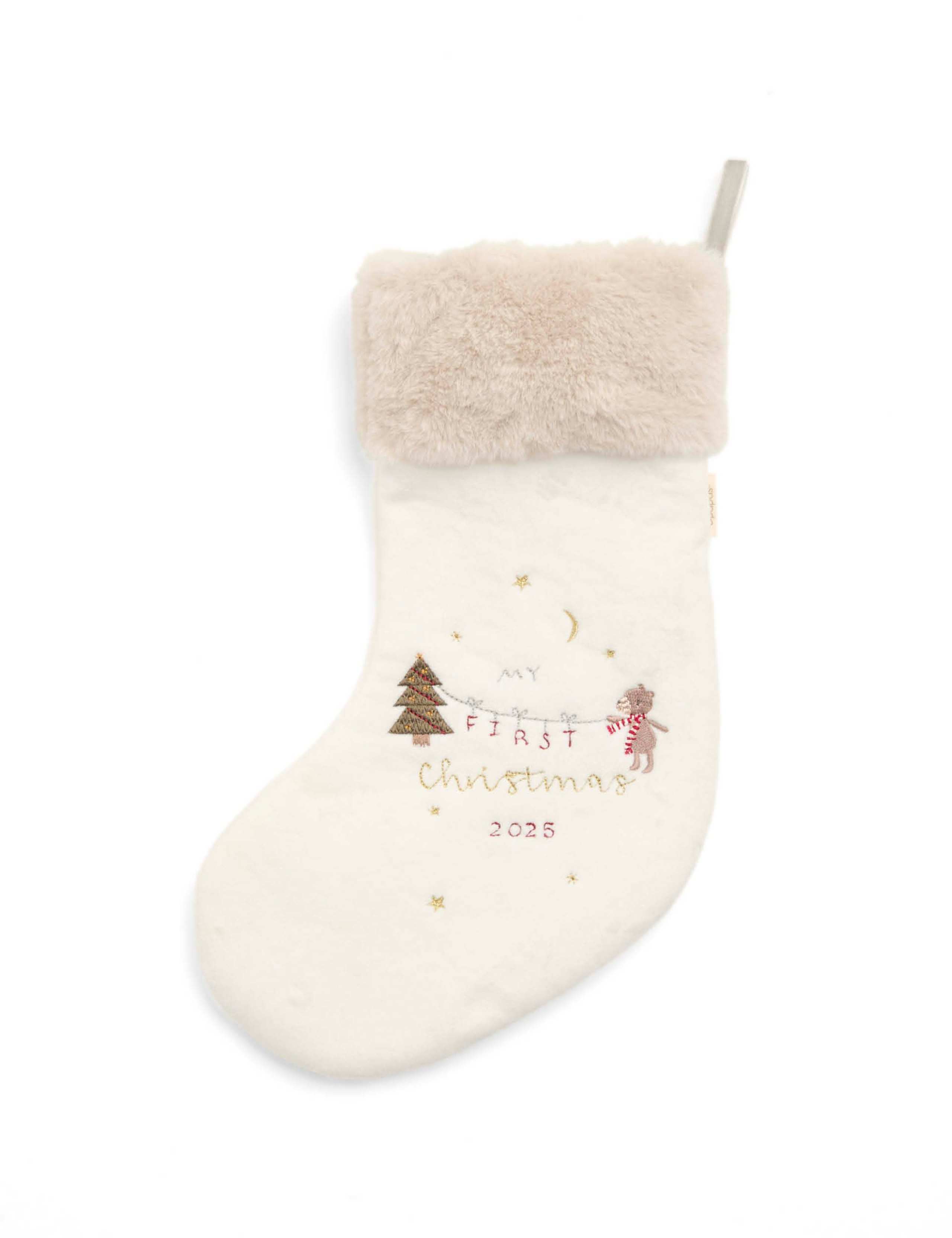 My First Christmas Stocking 1 of 1