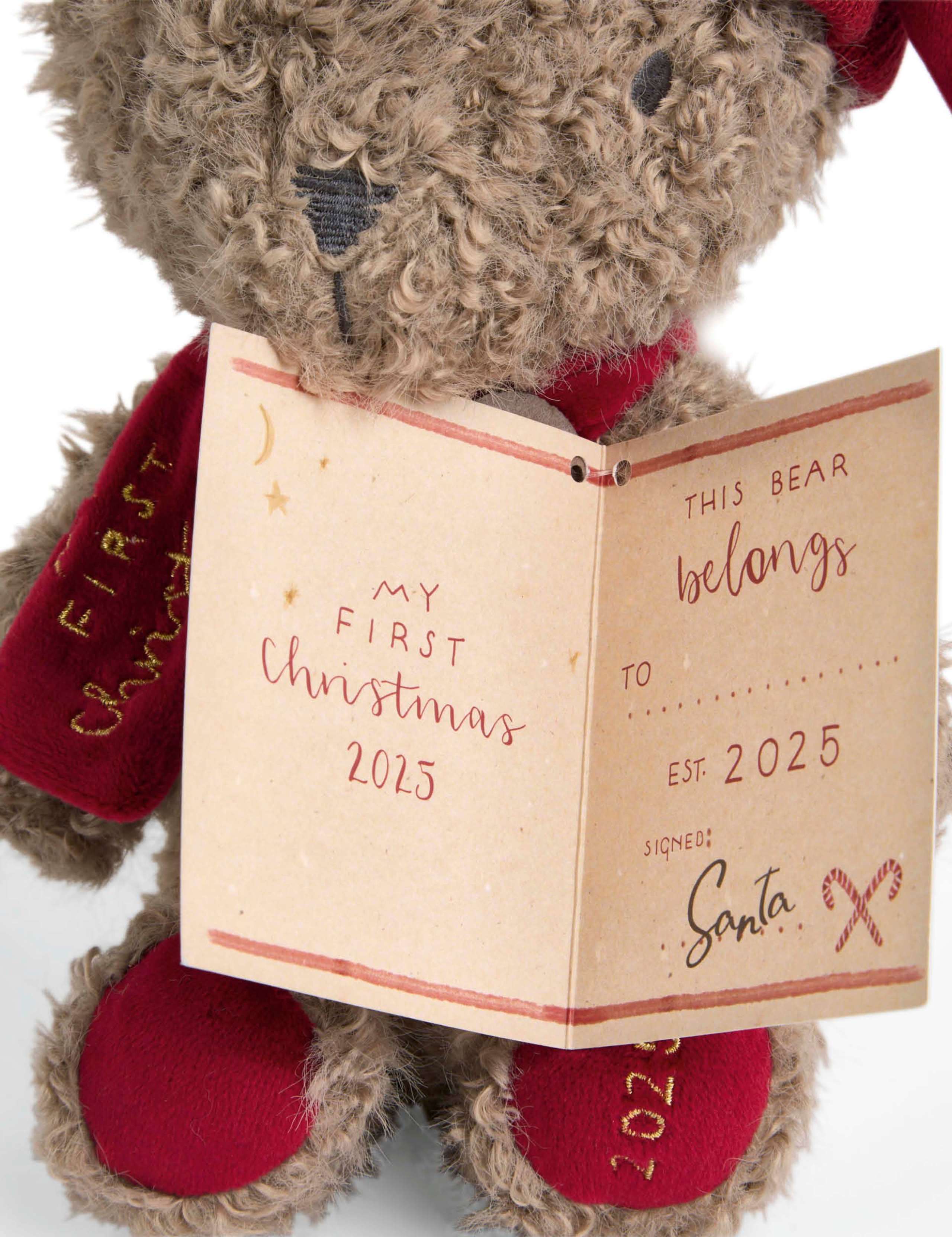 Christmas Bear Soft Toy 2025 3 of 4