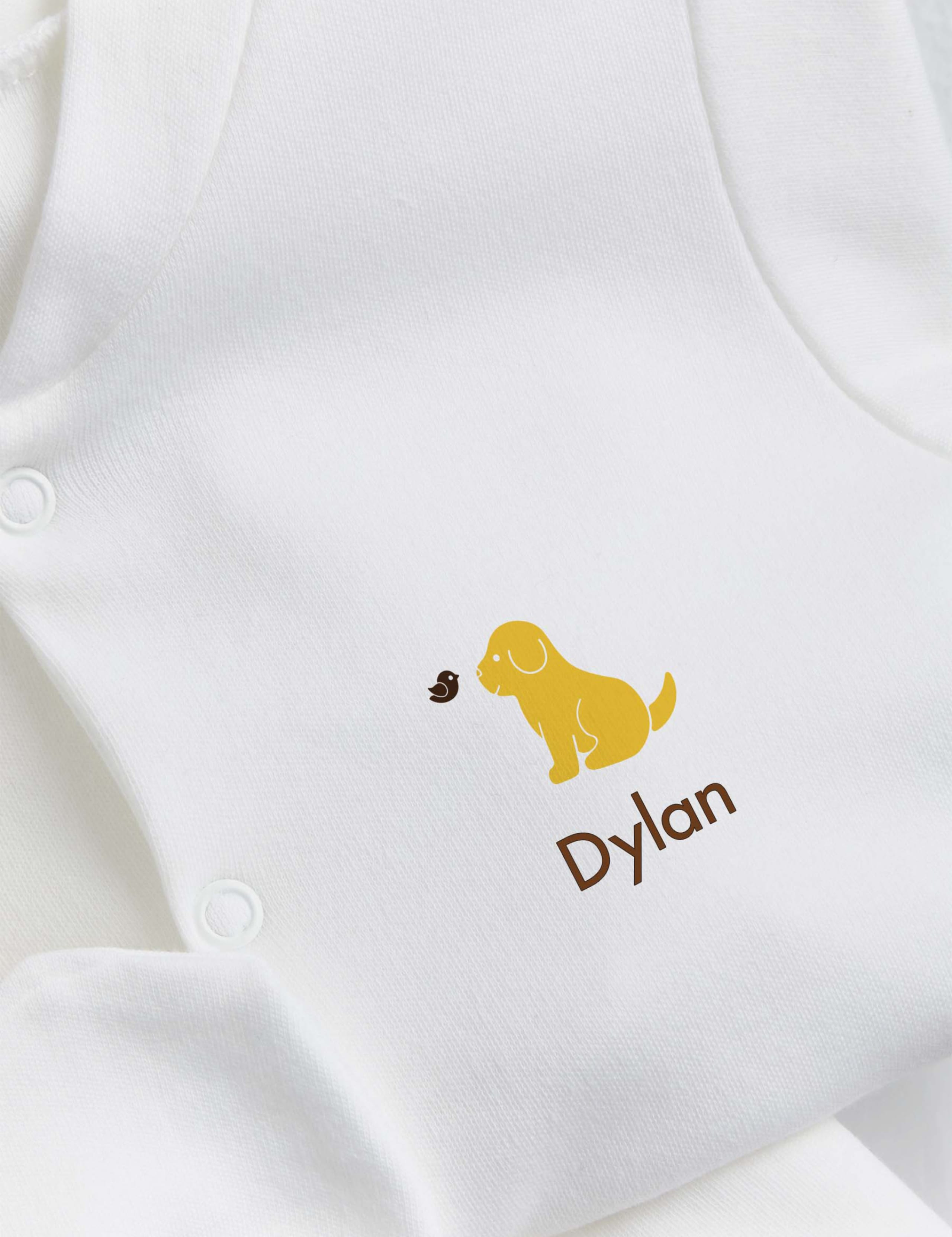 Personalised Puppy Starter Set (0-1 Yrs) 2 of 3