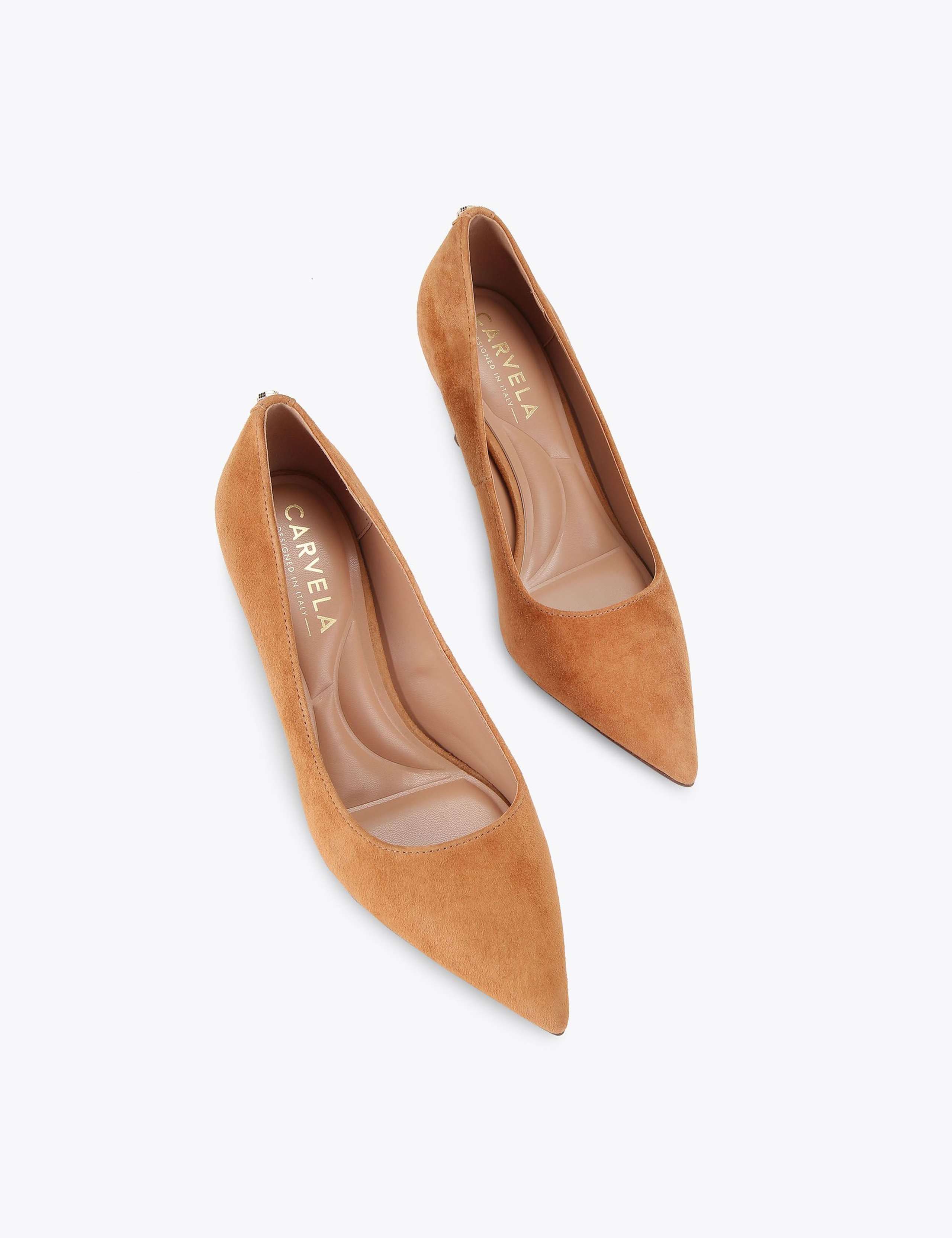 Suede Pointed Court Shoes 3 of 5