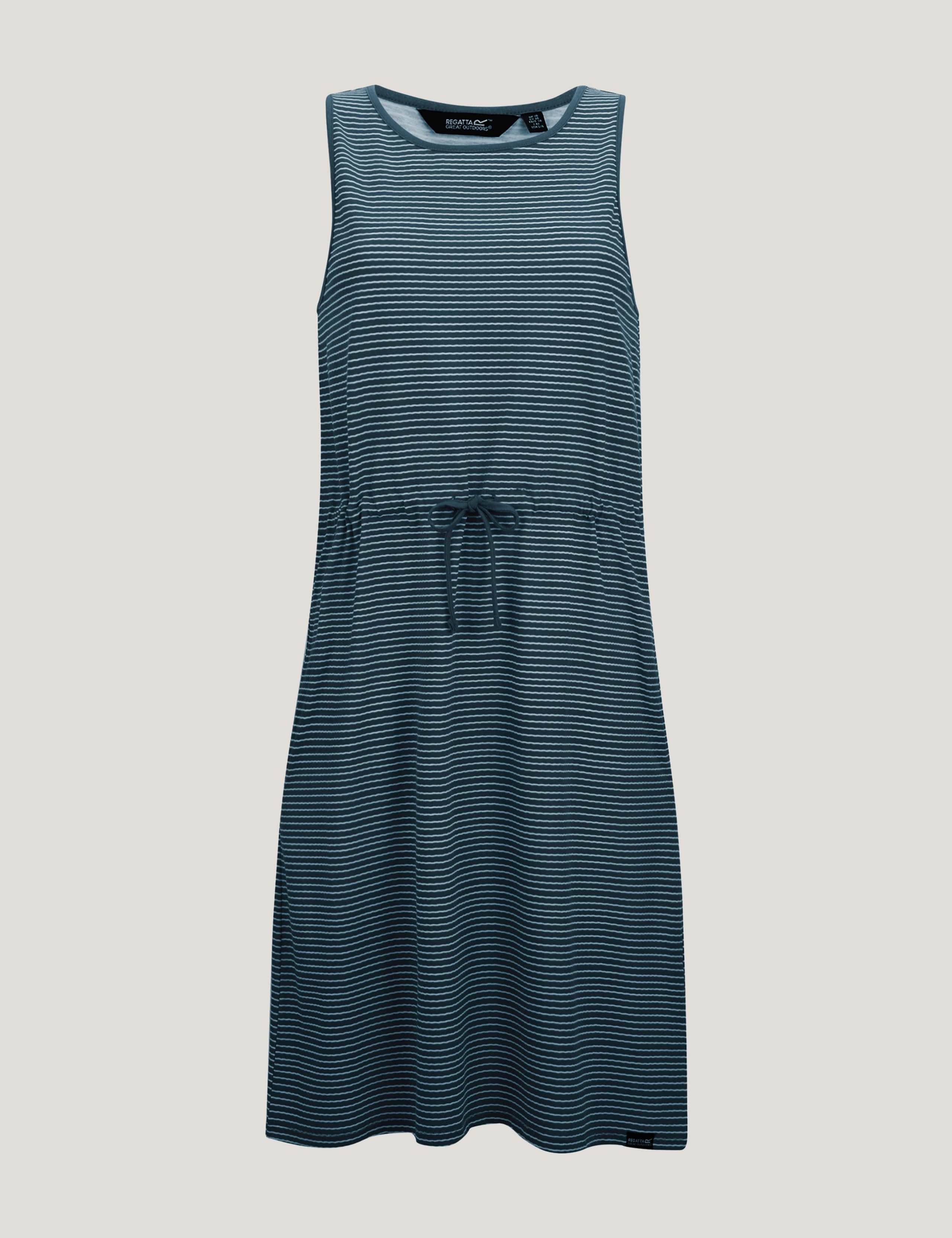 Amorie Cotton Rich Striped Waisted Dress 2 of 6