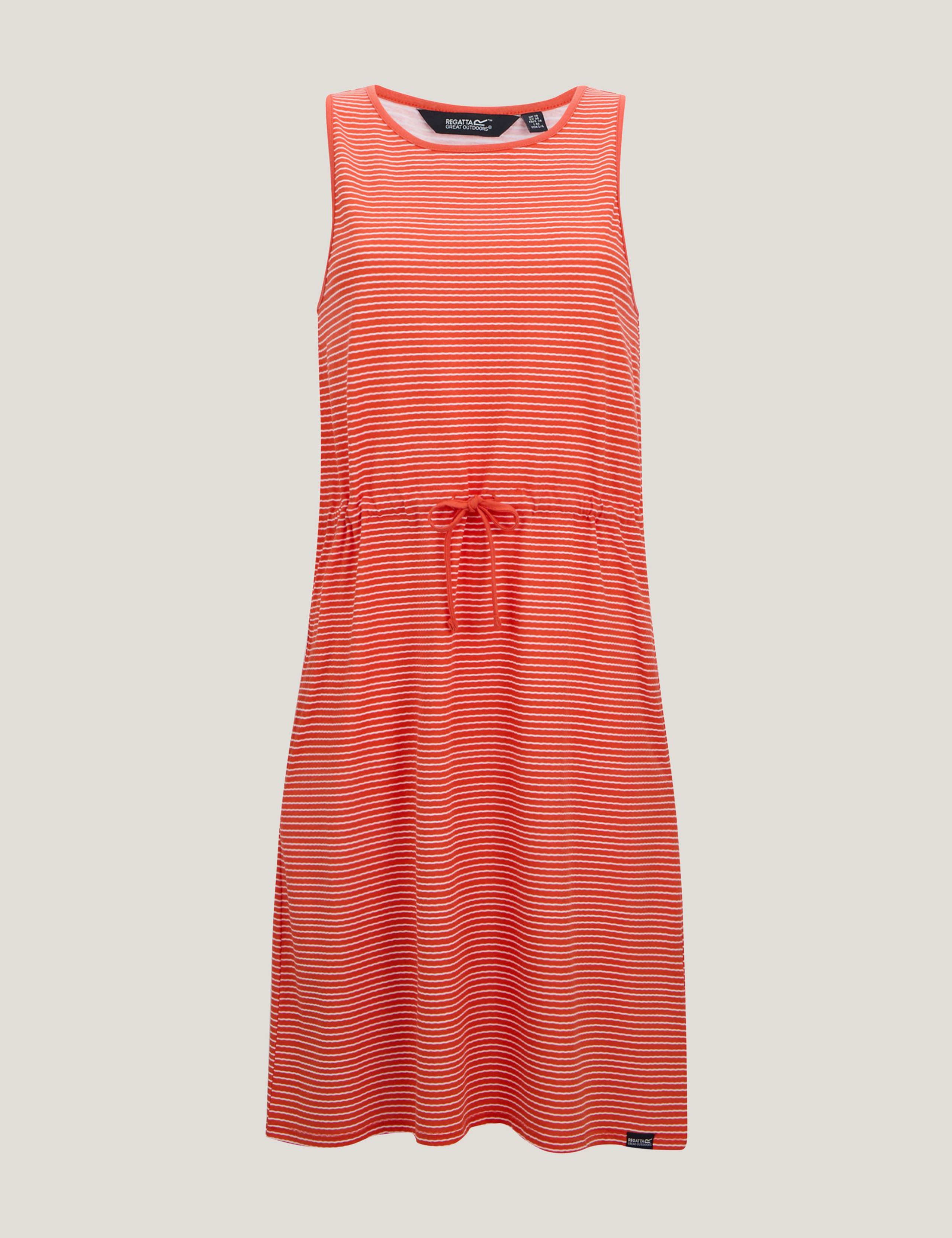 Amorie Cotton Rich Striped Waisted Dress 2 of 6