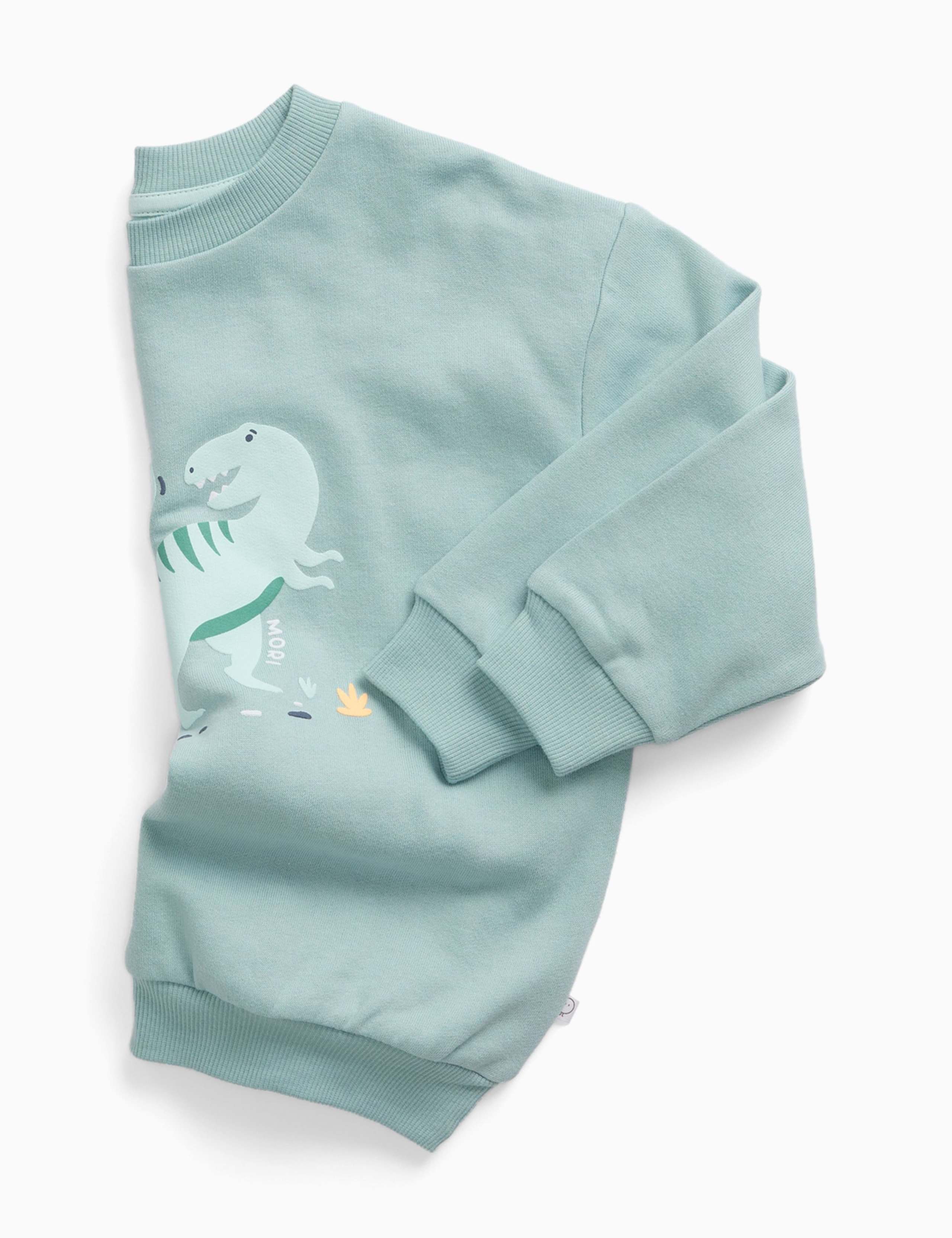 Cotton Blend Dinosaur Sweatshirt (3 Mths-6 Yrs) 2 of 3