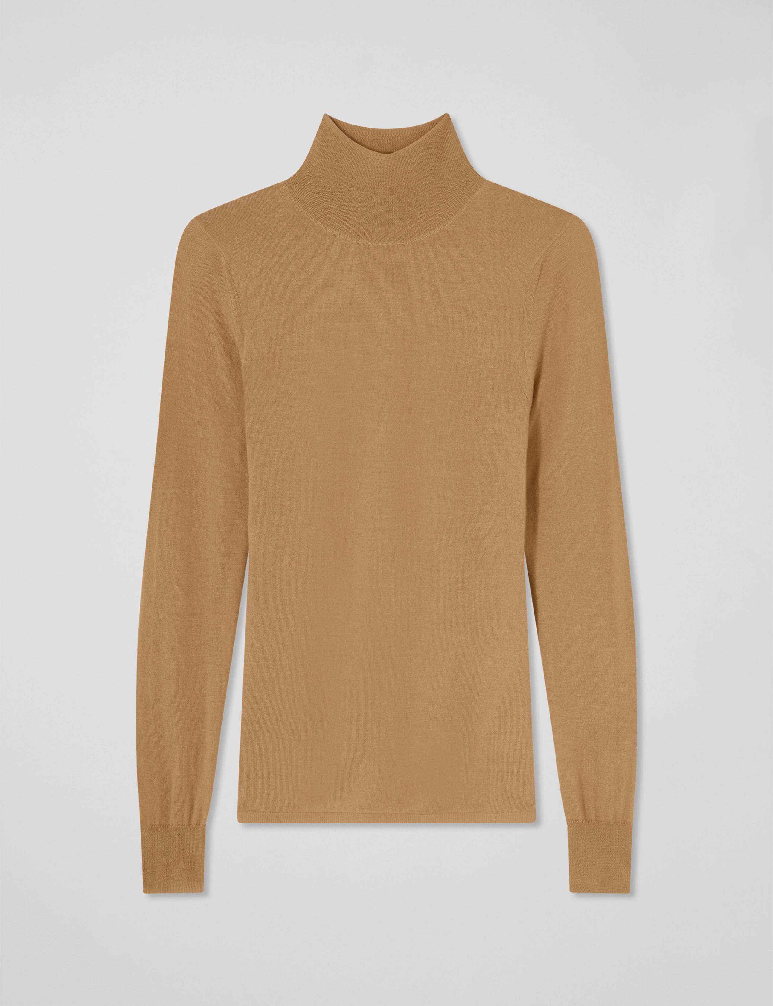 Pure Merino Wool Roll Neck Knitted Top 2 of 4