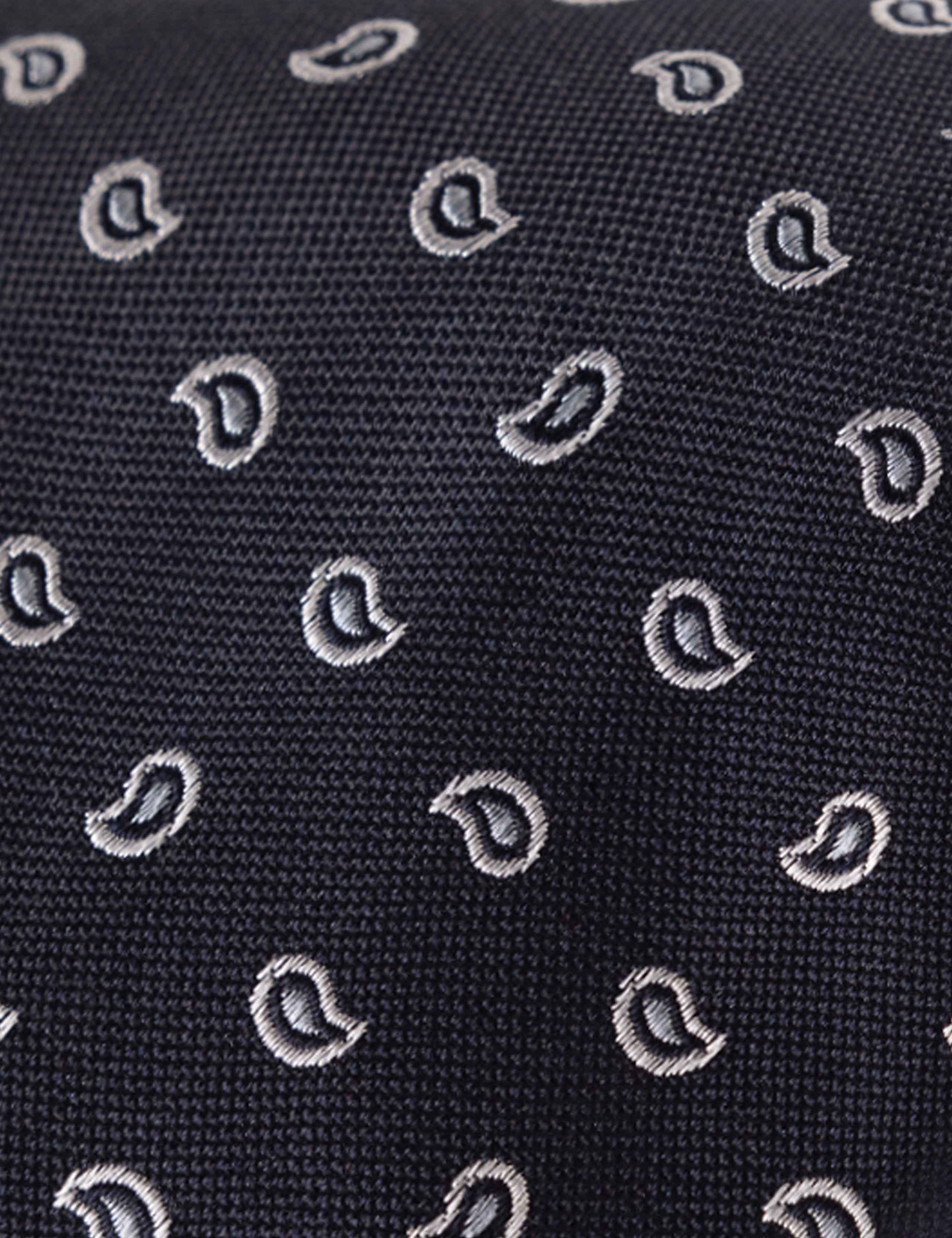 Paisley Pure Silk Tie 2 of 3