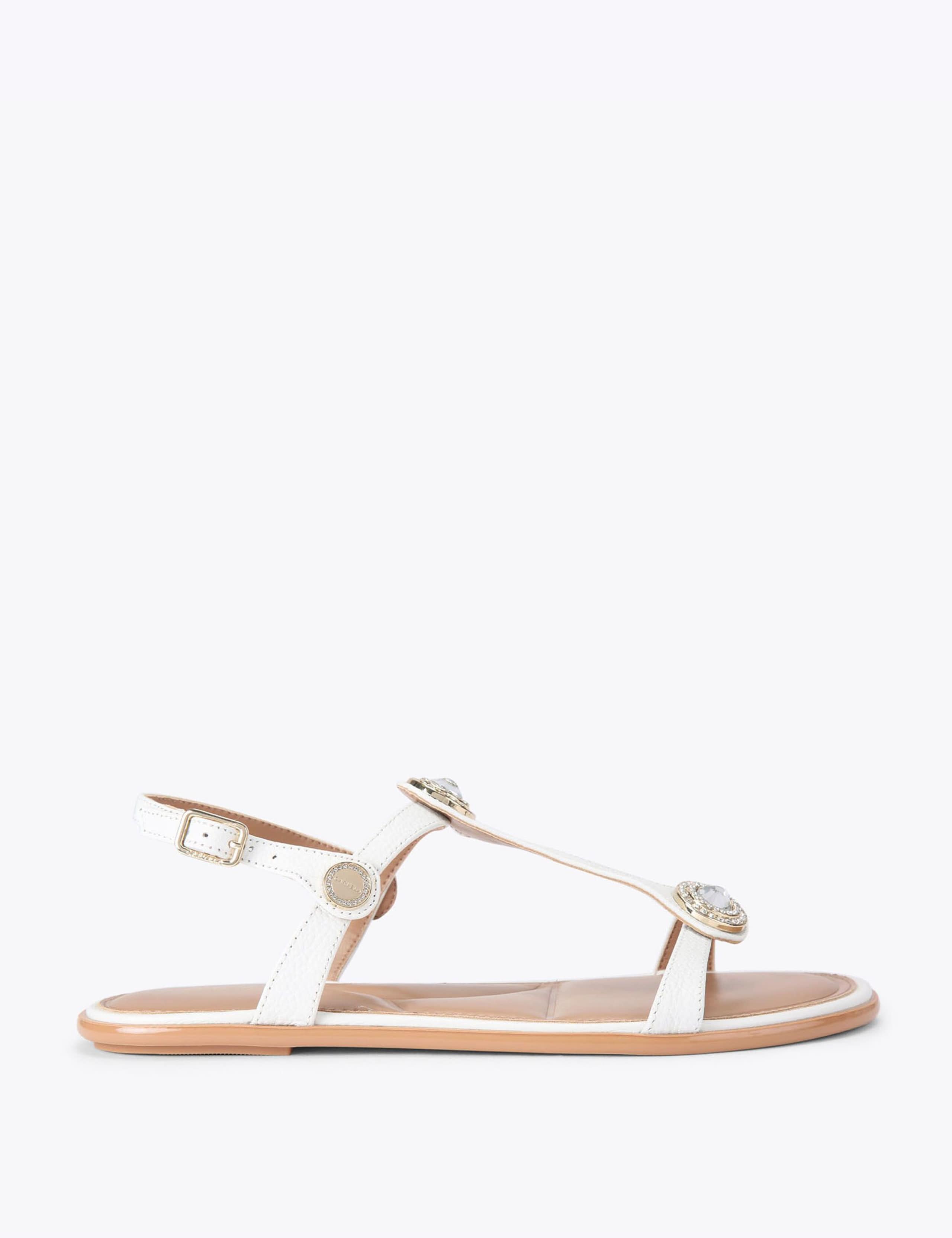 Wide Fit Leather Metallic Flat Sandals 1 of 4