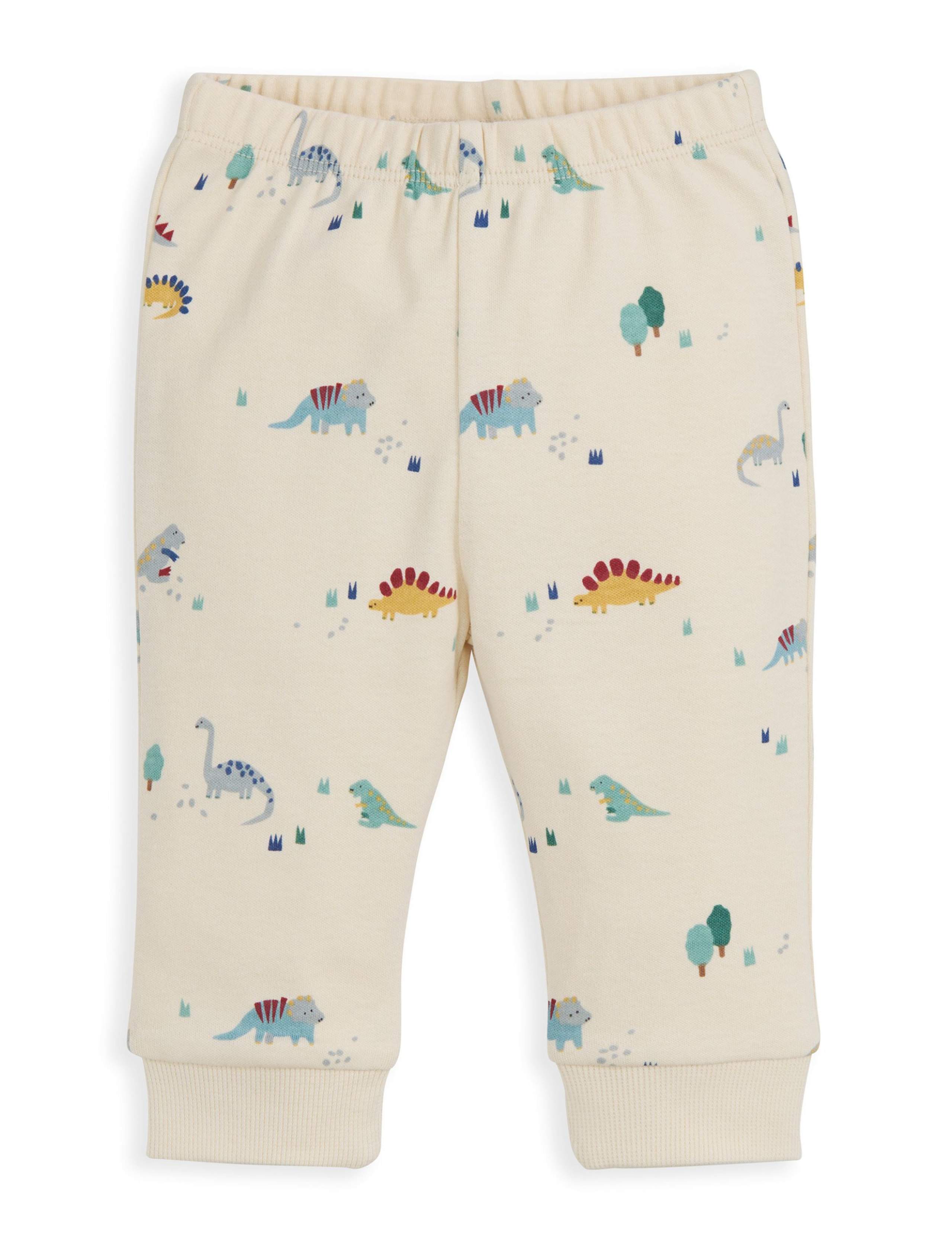 Pure Cotton Jersey Dinosaur Print Pyjamas (3 Months-3 Years) 3 of 4