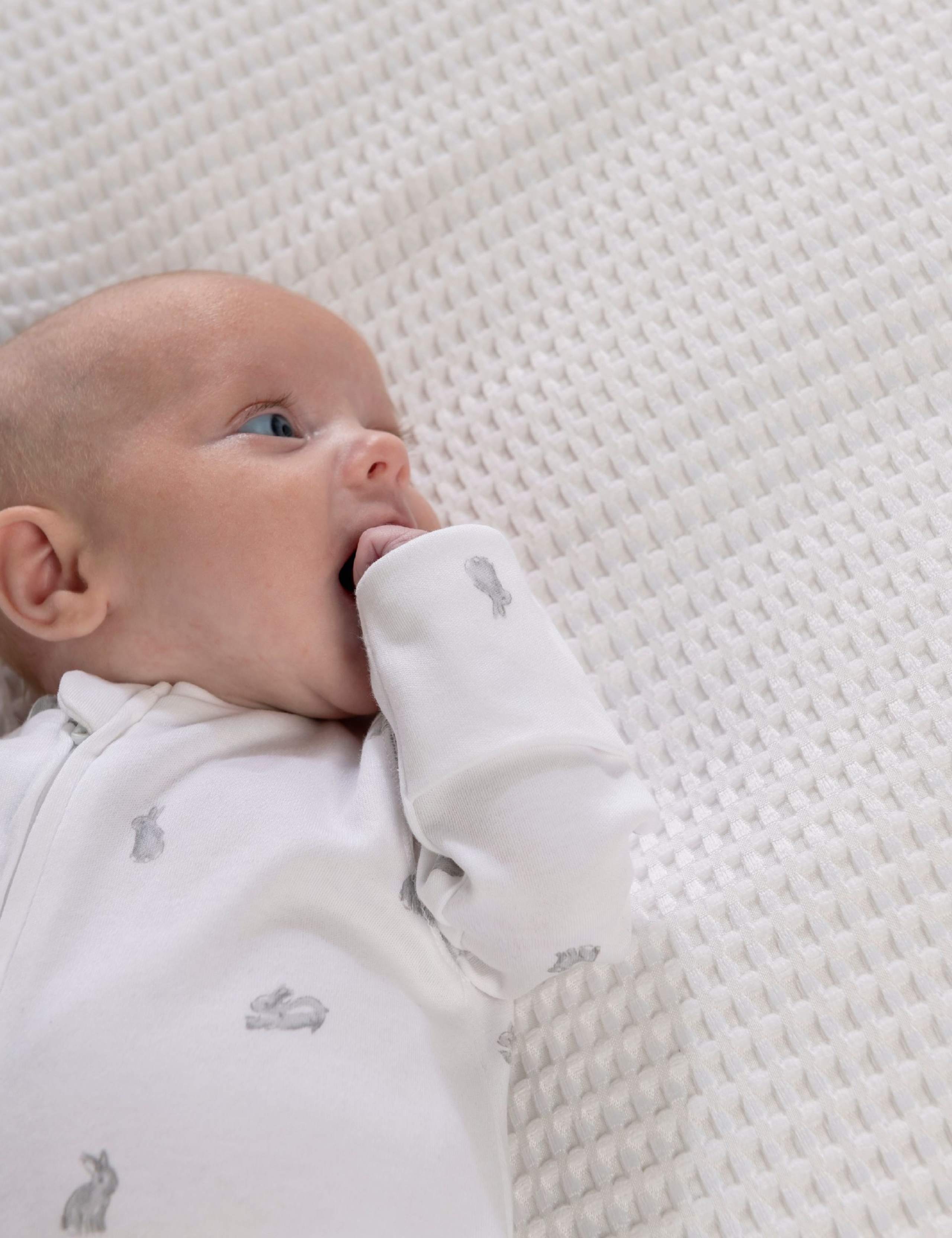 Pure Cotton Bunny Print Sleepsuit (6½lbs-6 Mths) 3 of 7