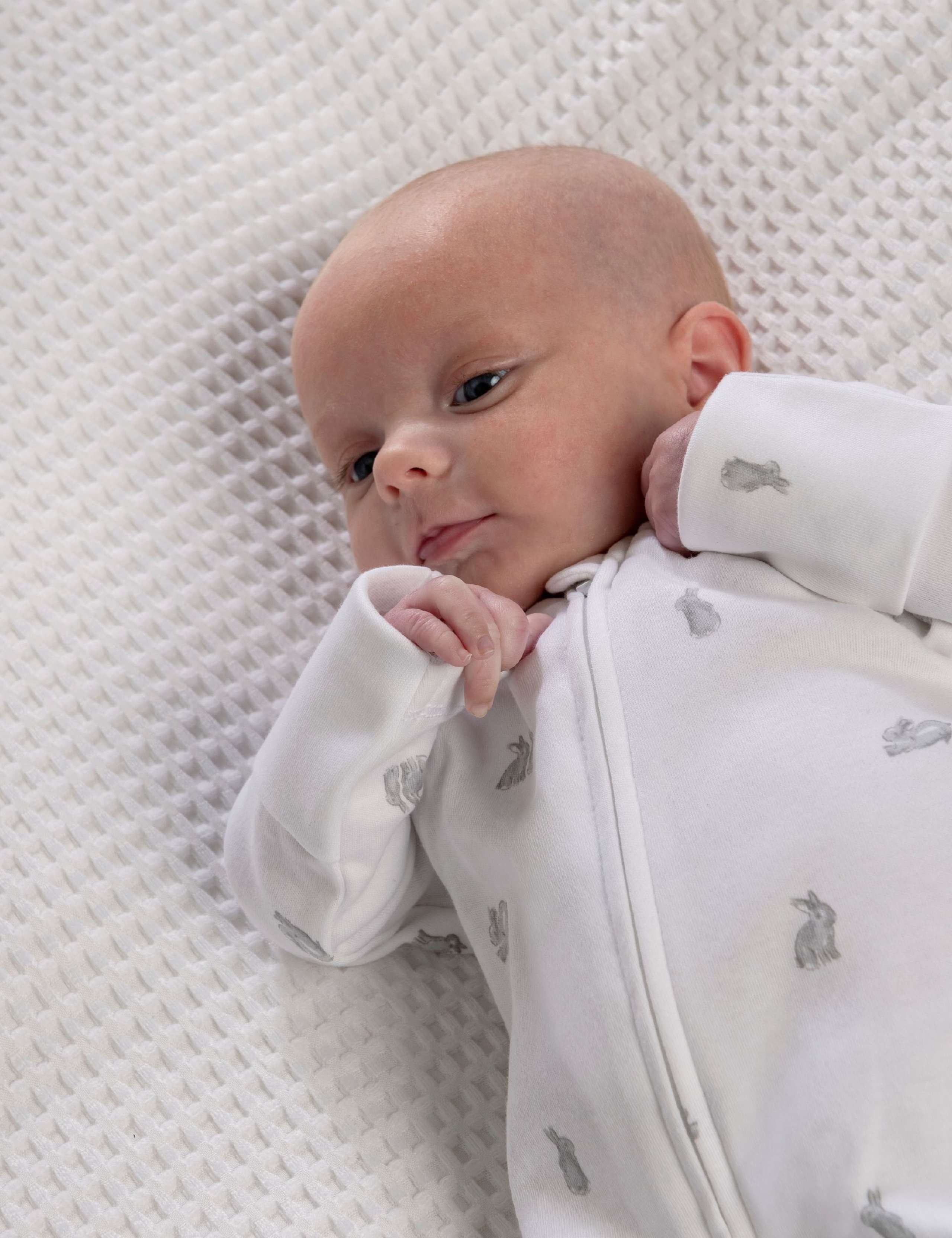 Pure Cotton Bunny Print Sleepsuit (6½lbs-6 Mths) 7 of 7