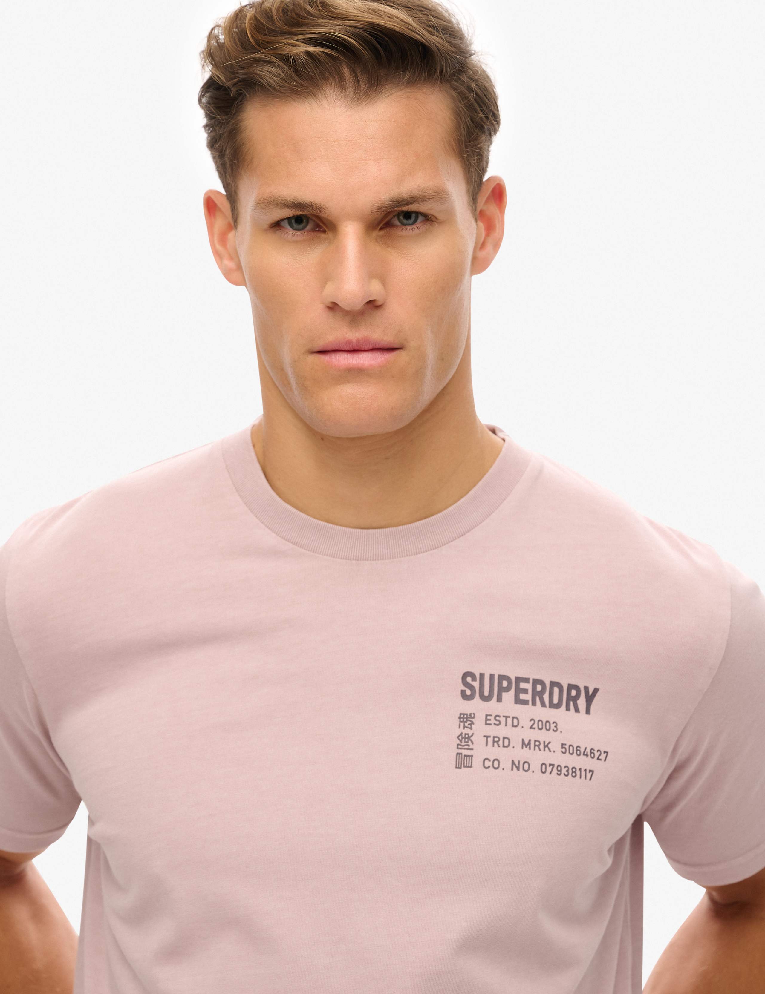 Pure Cotton Crew Neck T-Shirt 4 of 6