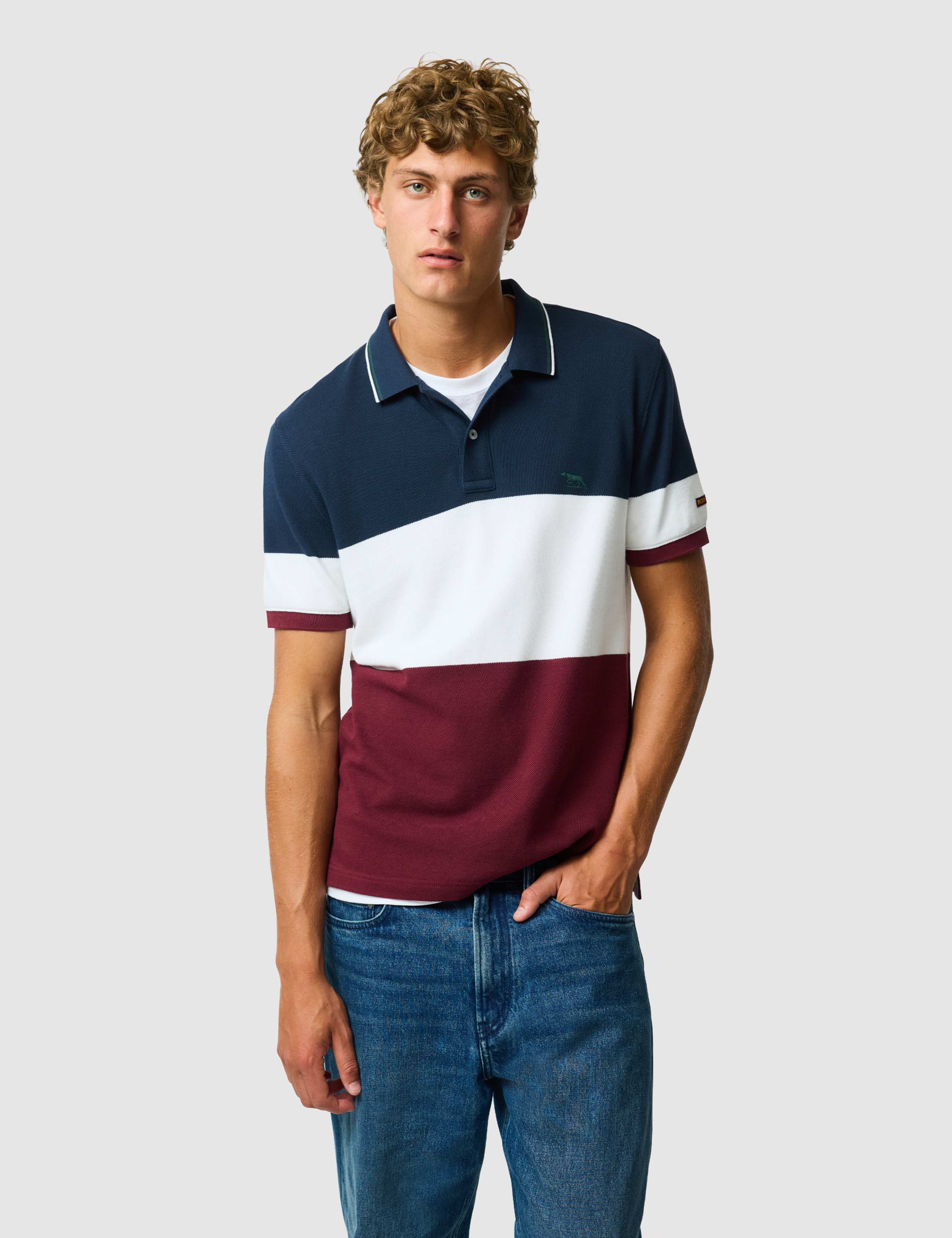 Slim Fit Pure Cotton Colour Block Polo Shirt 1 of 6