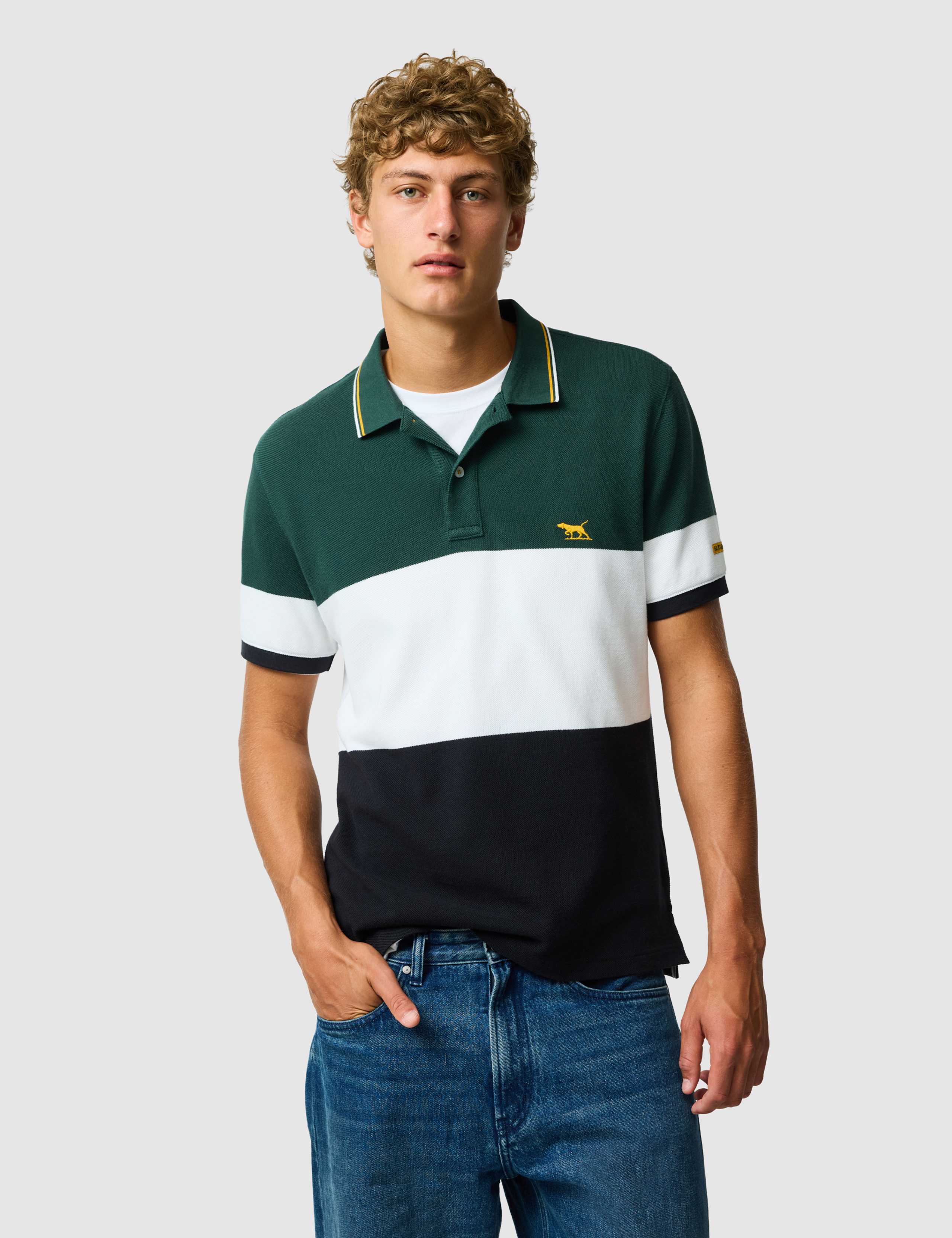 Slim Fit Pure Cotton Colour Block Polo Shirt 1 of 6