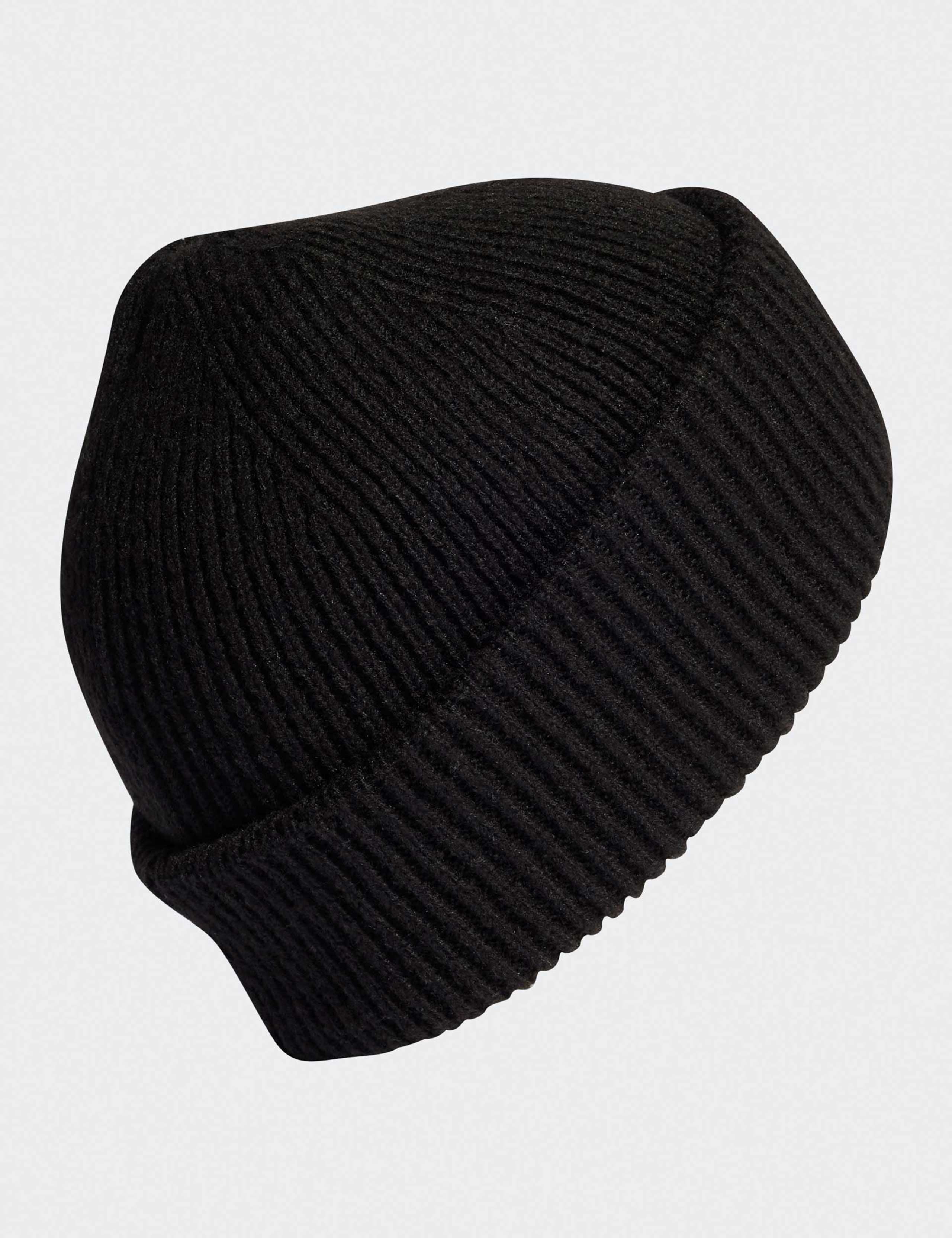 Wide Cuff Beanie Hat 3 of 4