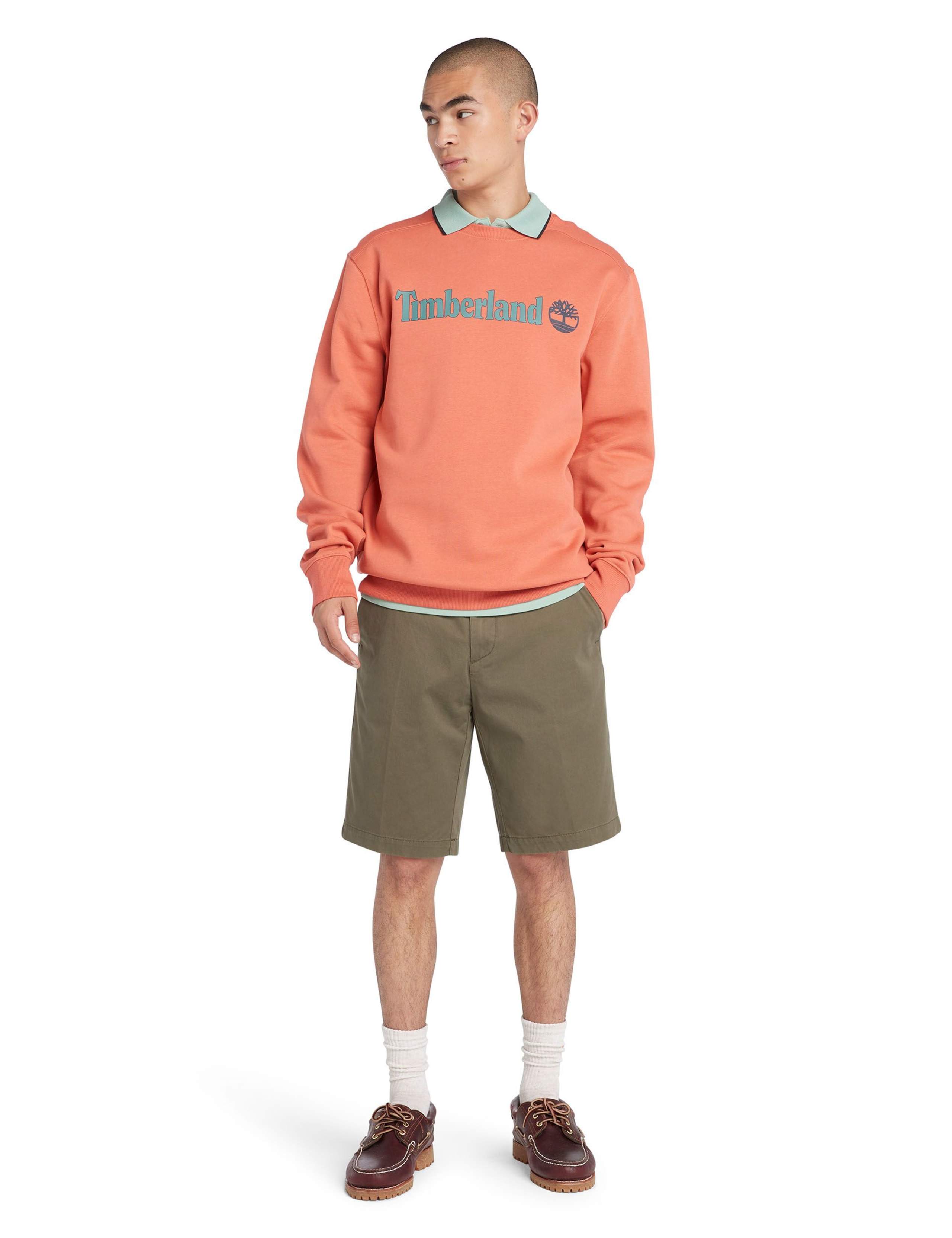 Twill Stretch Chino Shorts 3 of 9