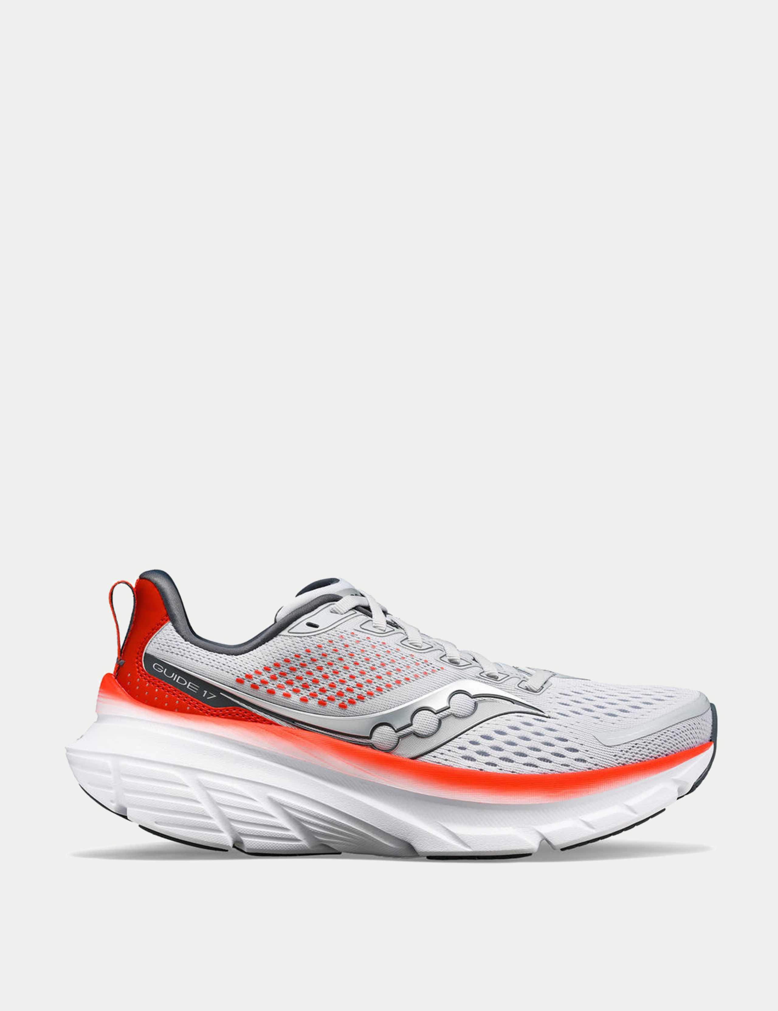 Guide 17 Trainers 1 of 5