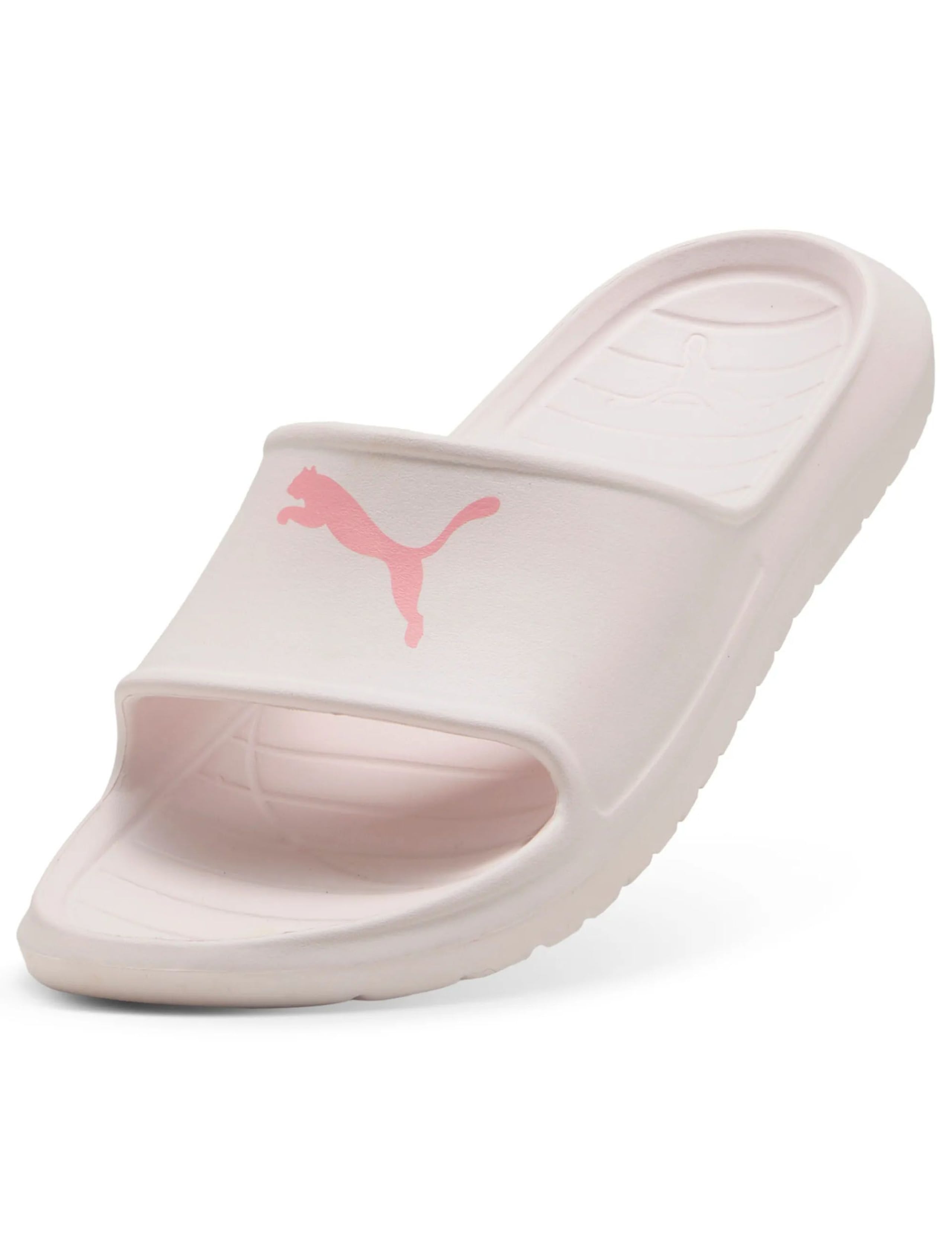 Divecat V2 Lite Cat Sliders 4 of 6