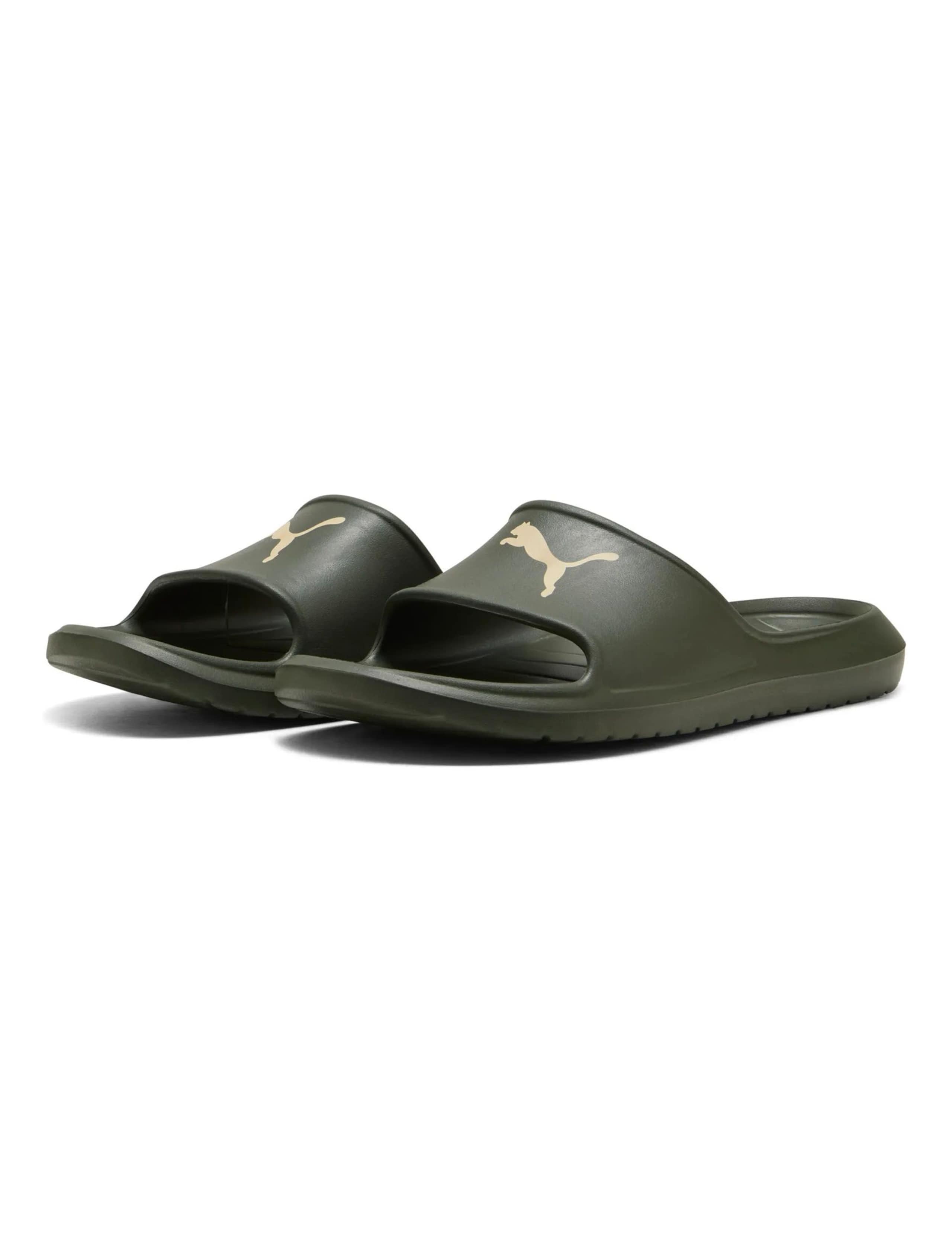 Divecat V2 Lite Cat Sliders 3 of 6