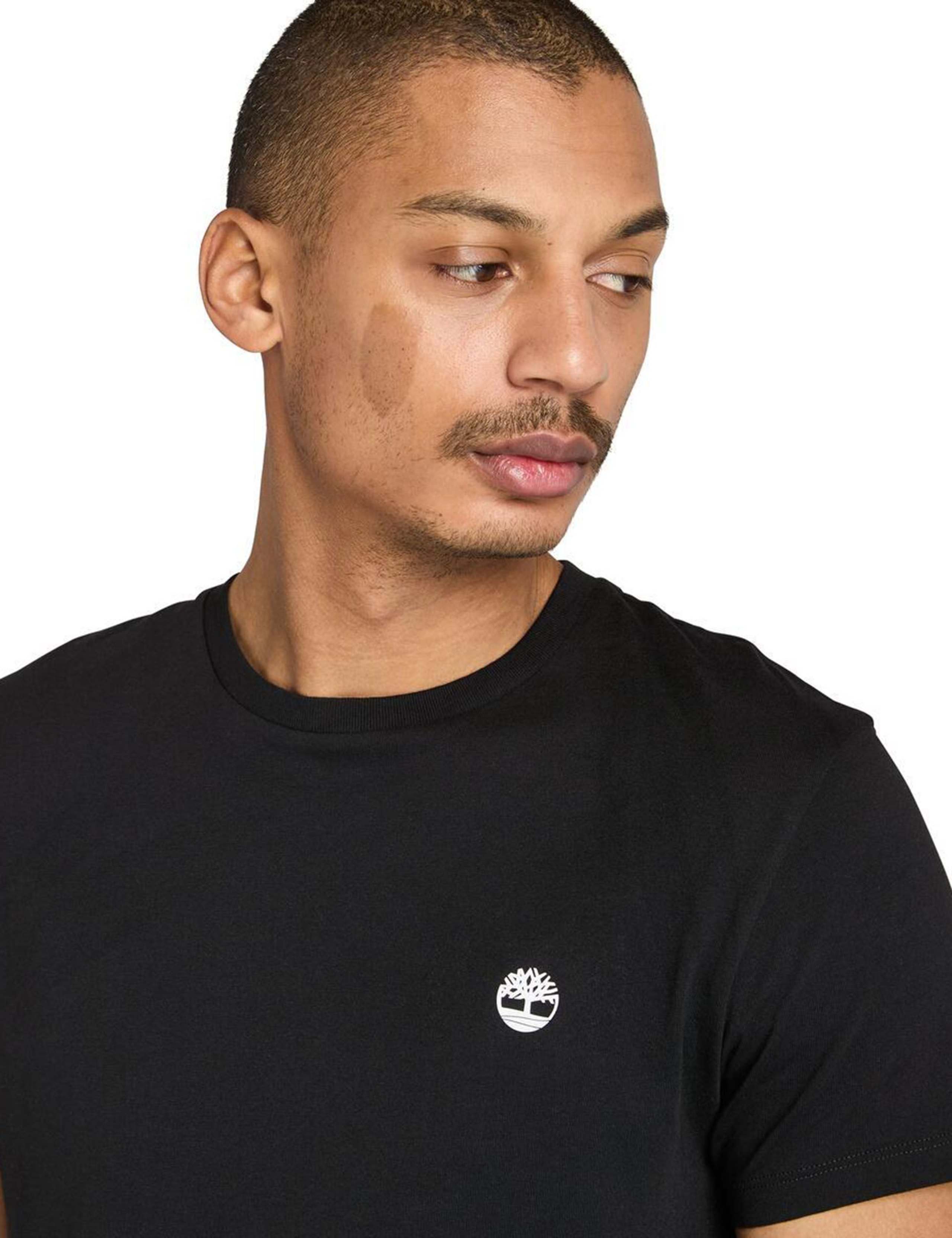 3 Pack Dunstan River Pure Cotton T-Shirts 4 of 4