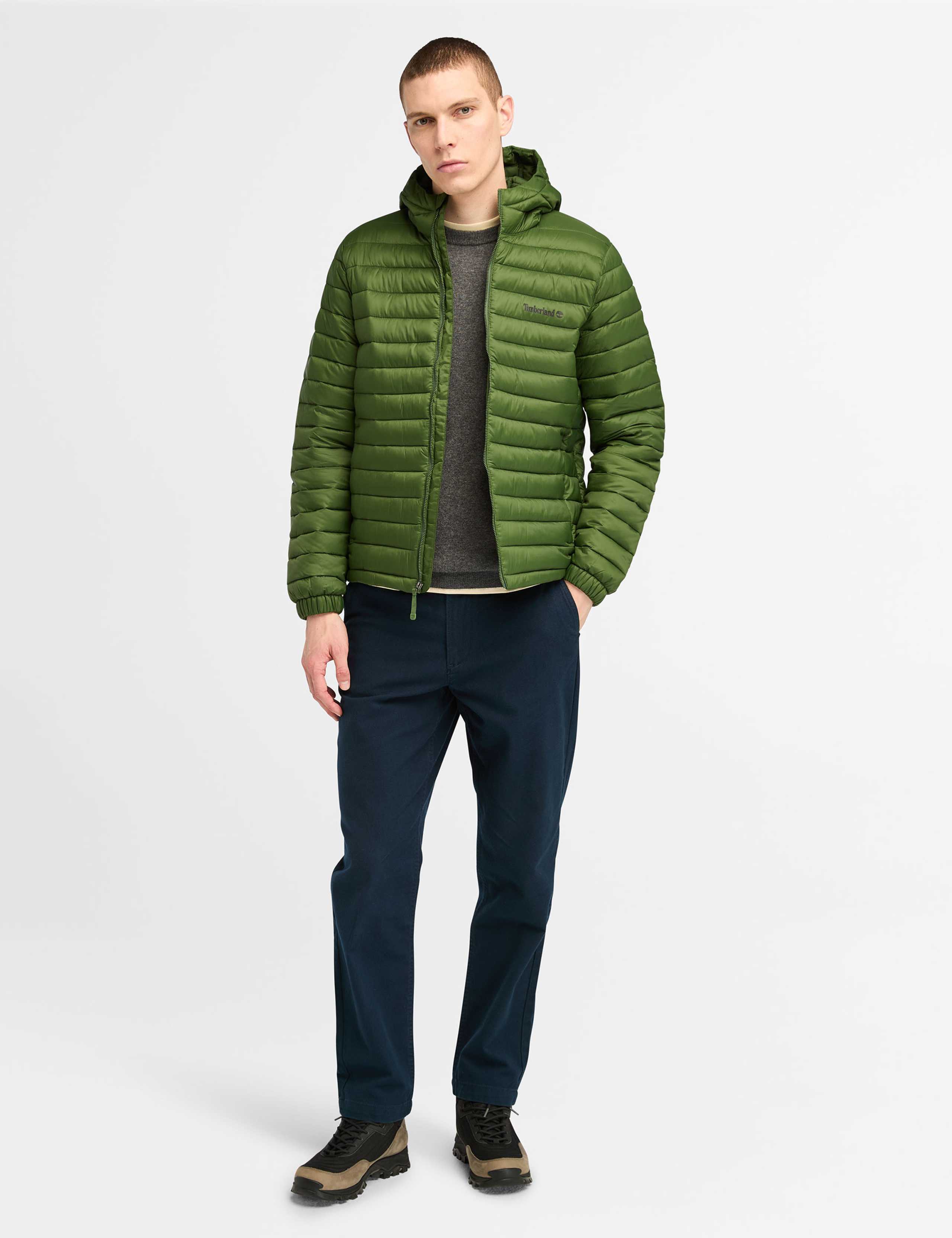 Axis Peak Hooded Quilted Puffer Jacket 3 of 6