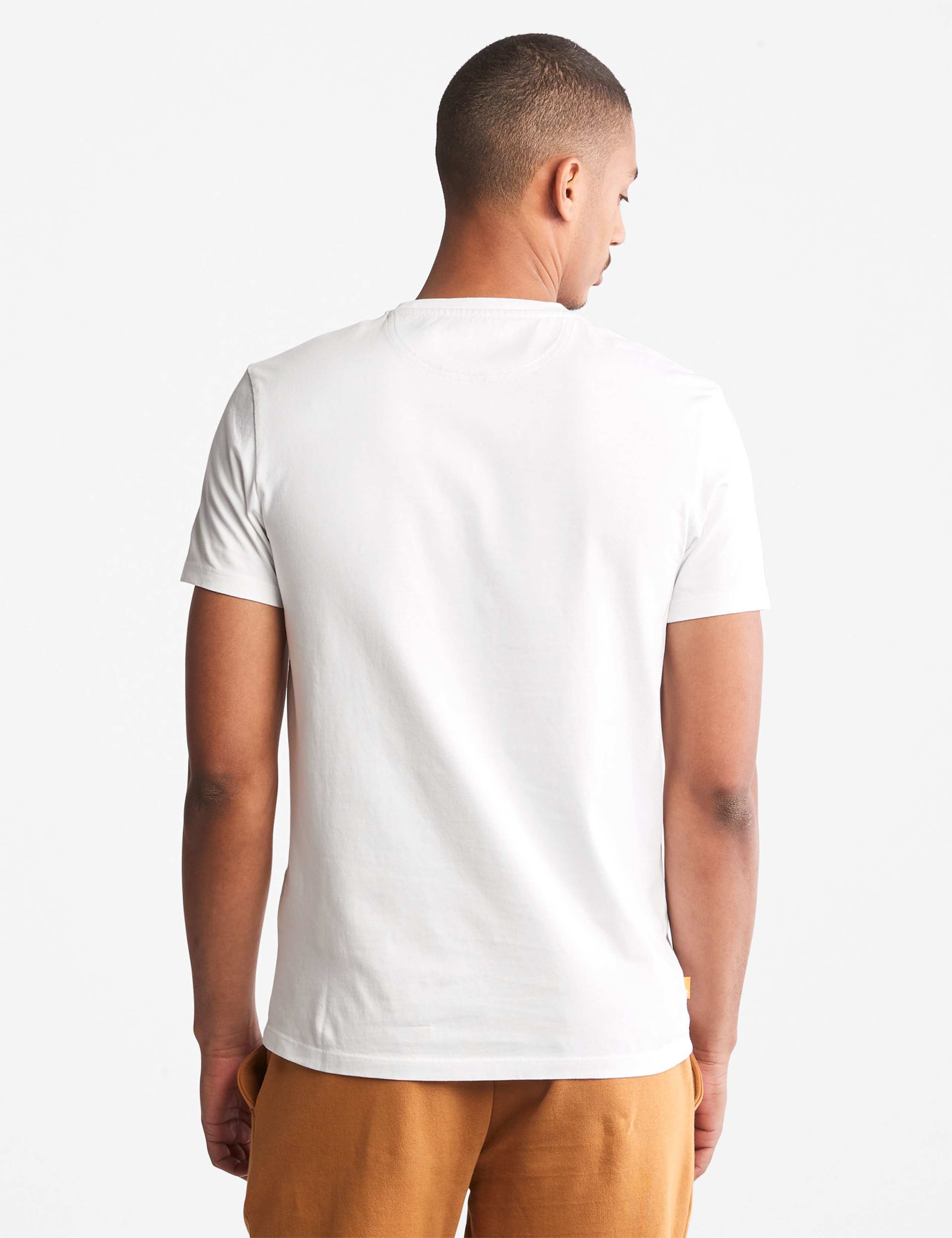 Pure Cotton Crew Neck T-Shirt 5 of 6