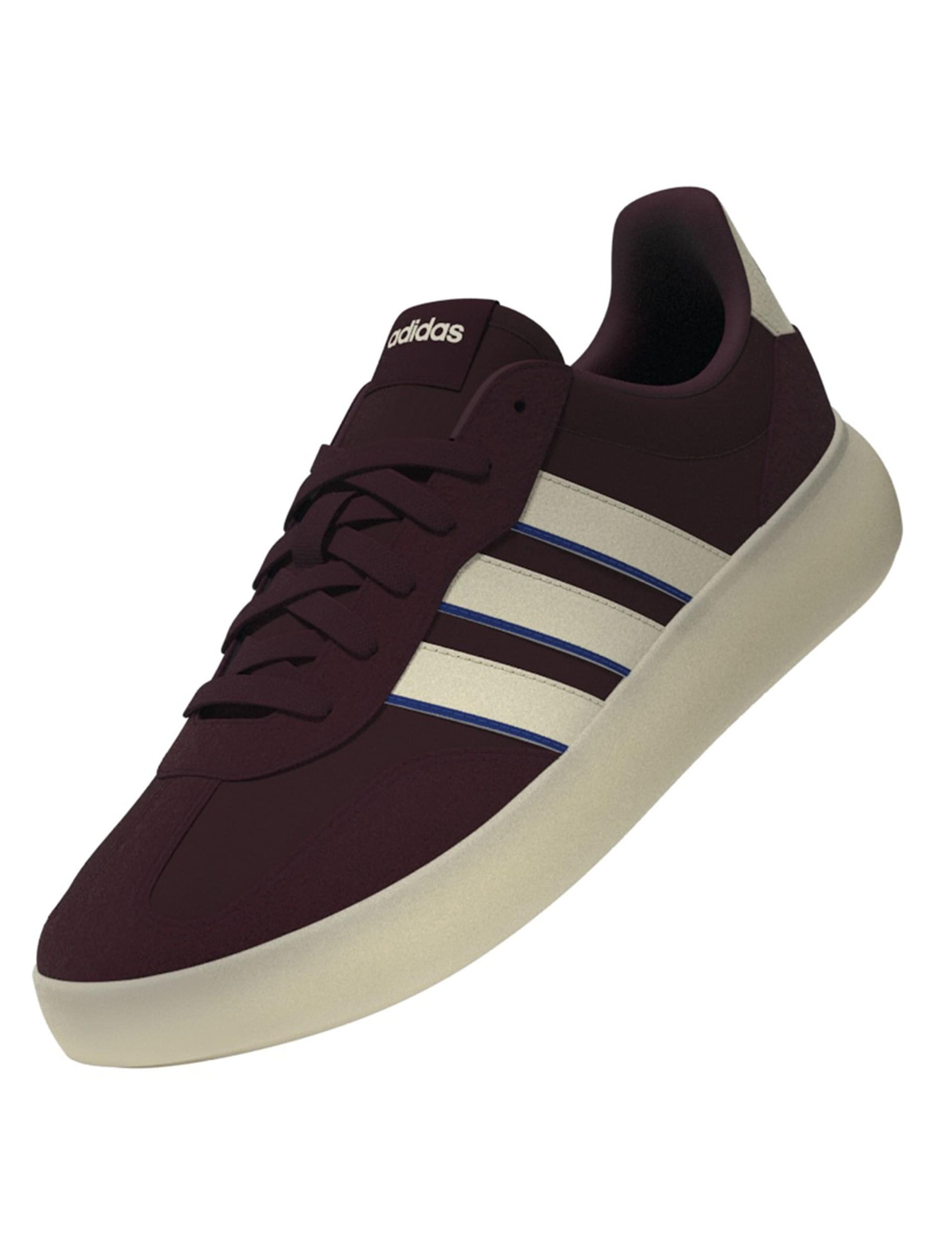 Barreda Decode Trainer 3 of 6