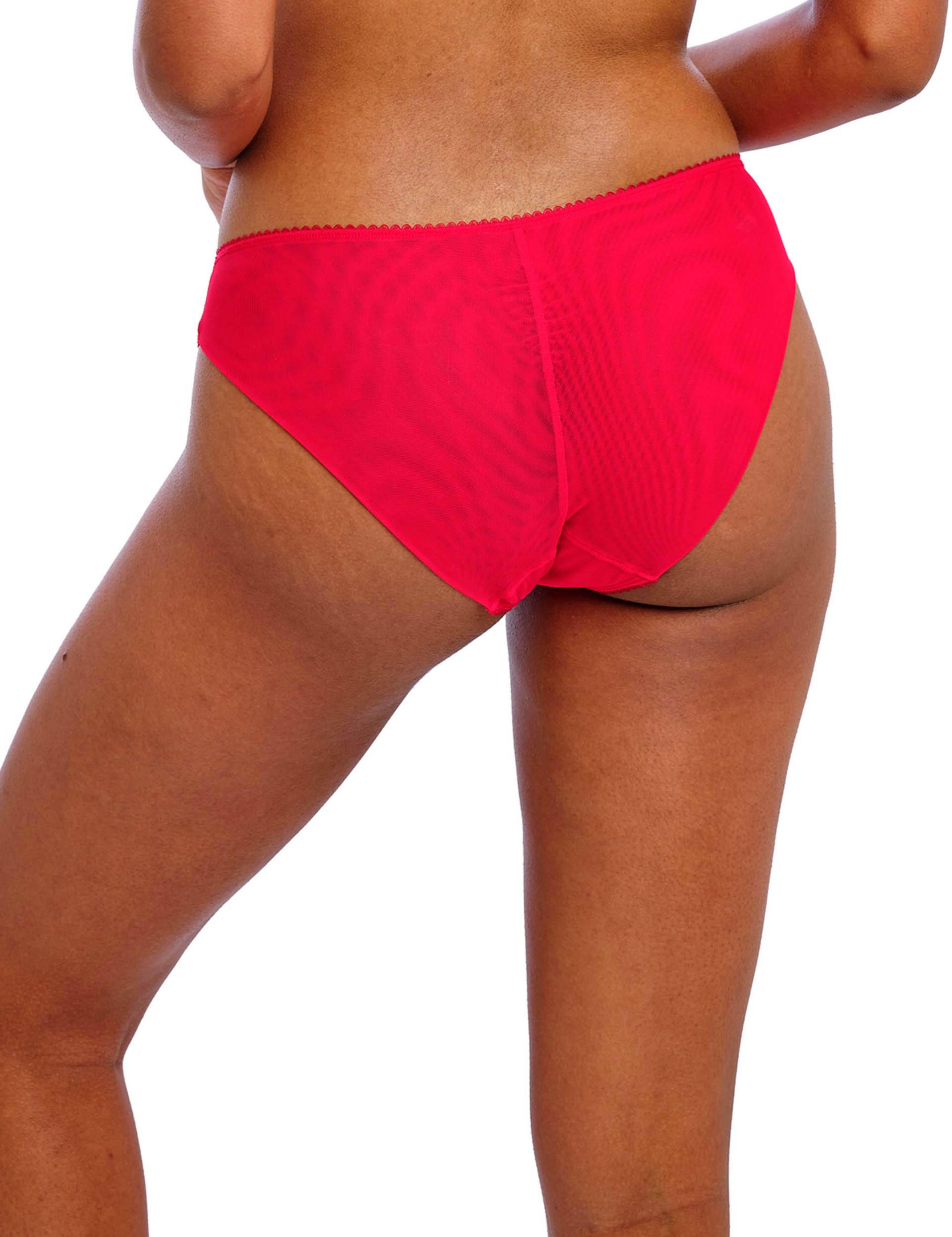 Loveland Embroidered Mesh Knickers 3 of 5