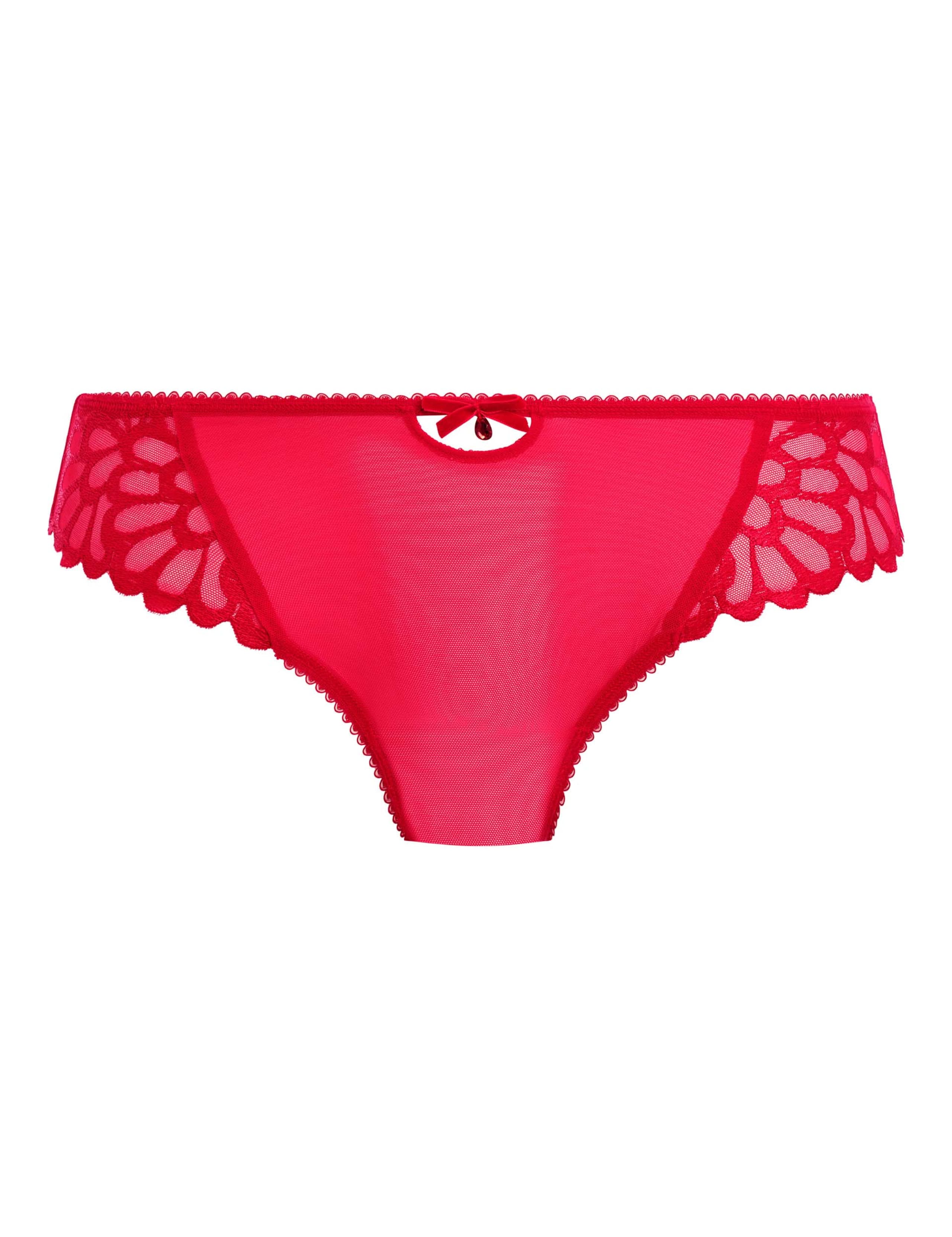 Loveland Embroidered Mesh Knickers 2 of 5