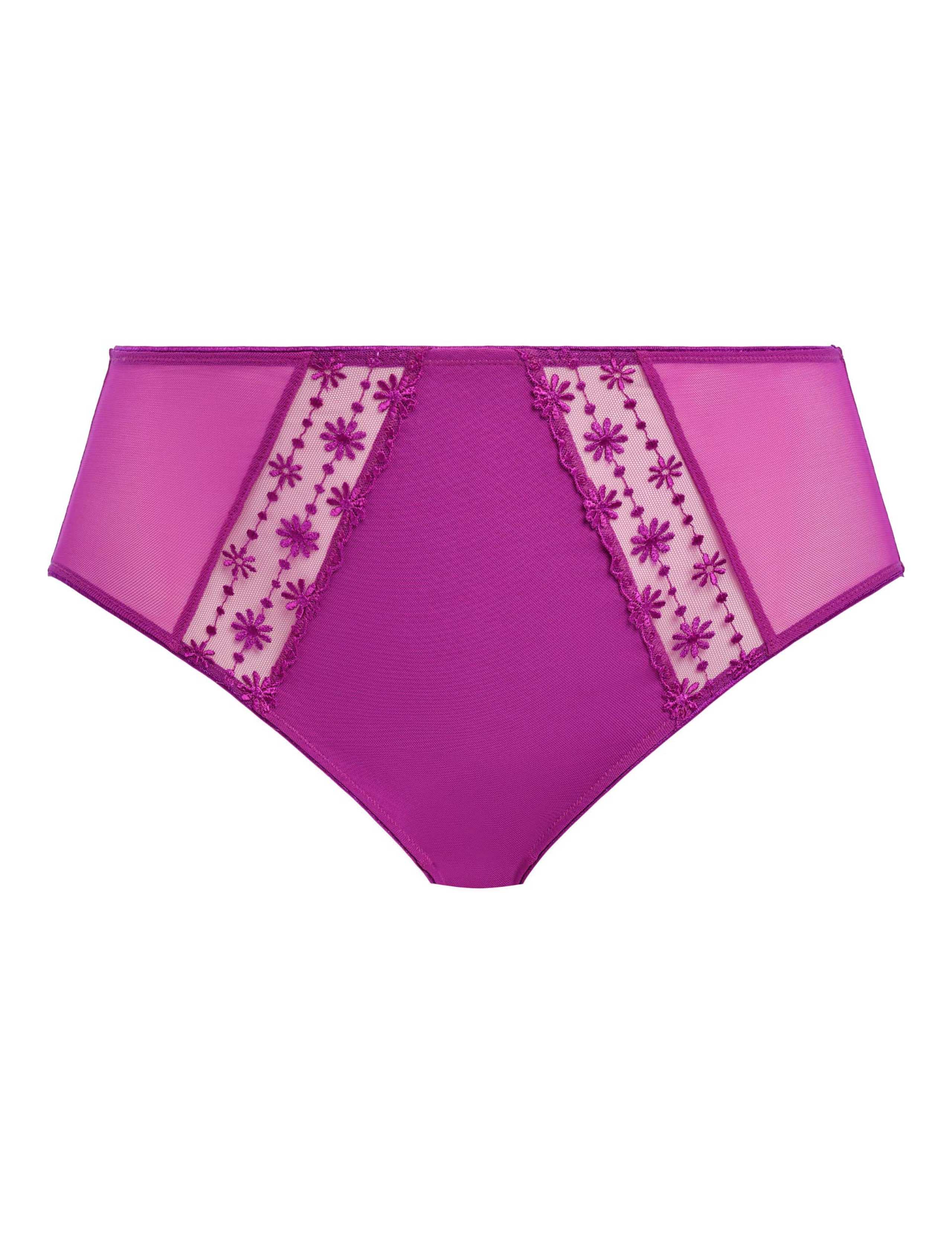 Matilda Mesh & Lace Full Briefs 2 of 6