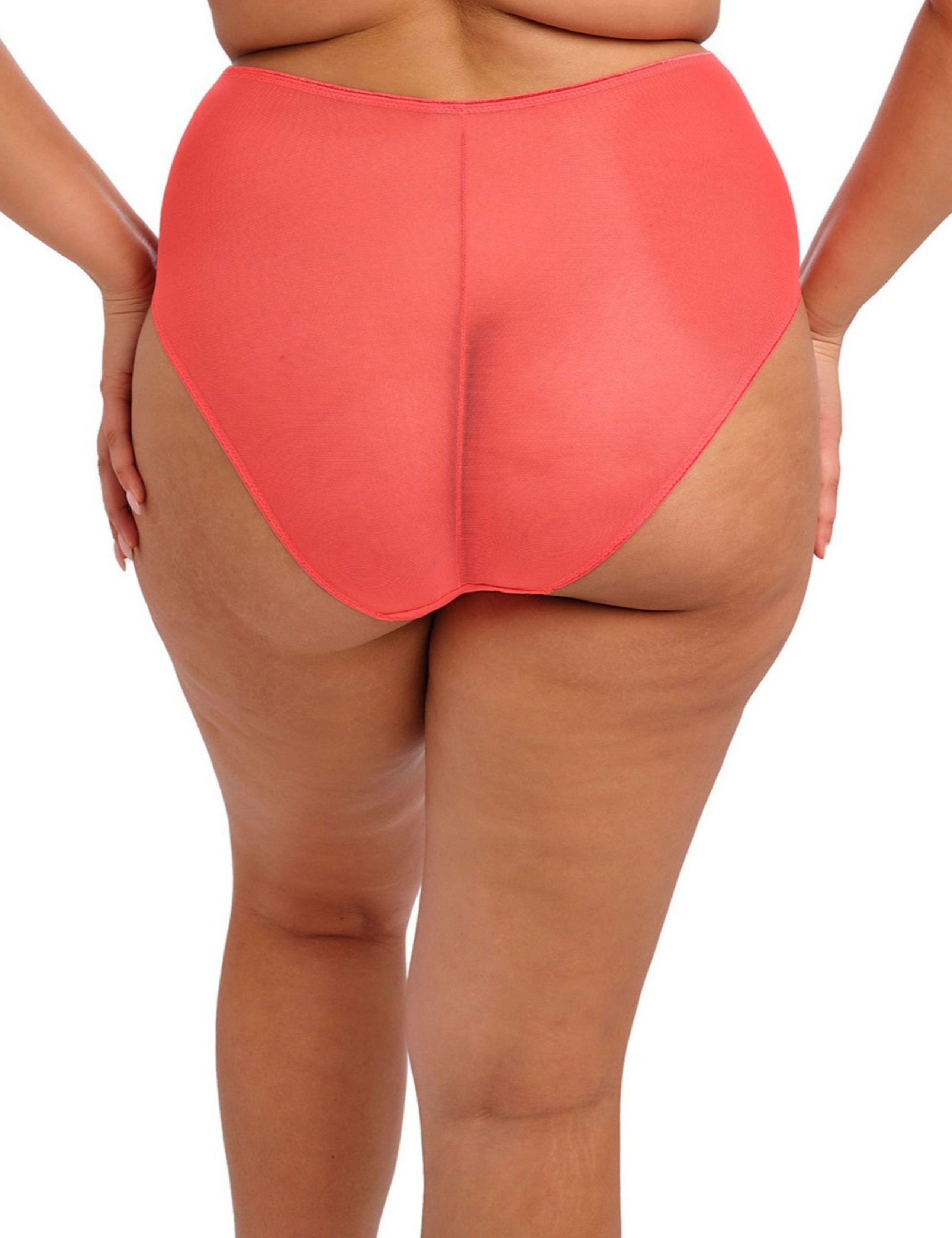 Matilda Embroidered High Waisted Briefs 6 of 7