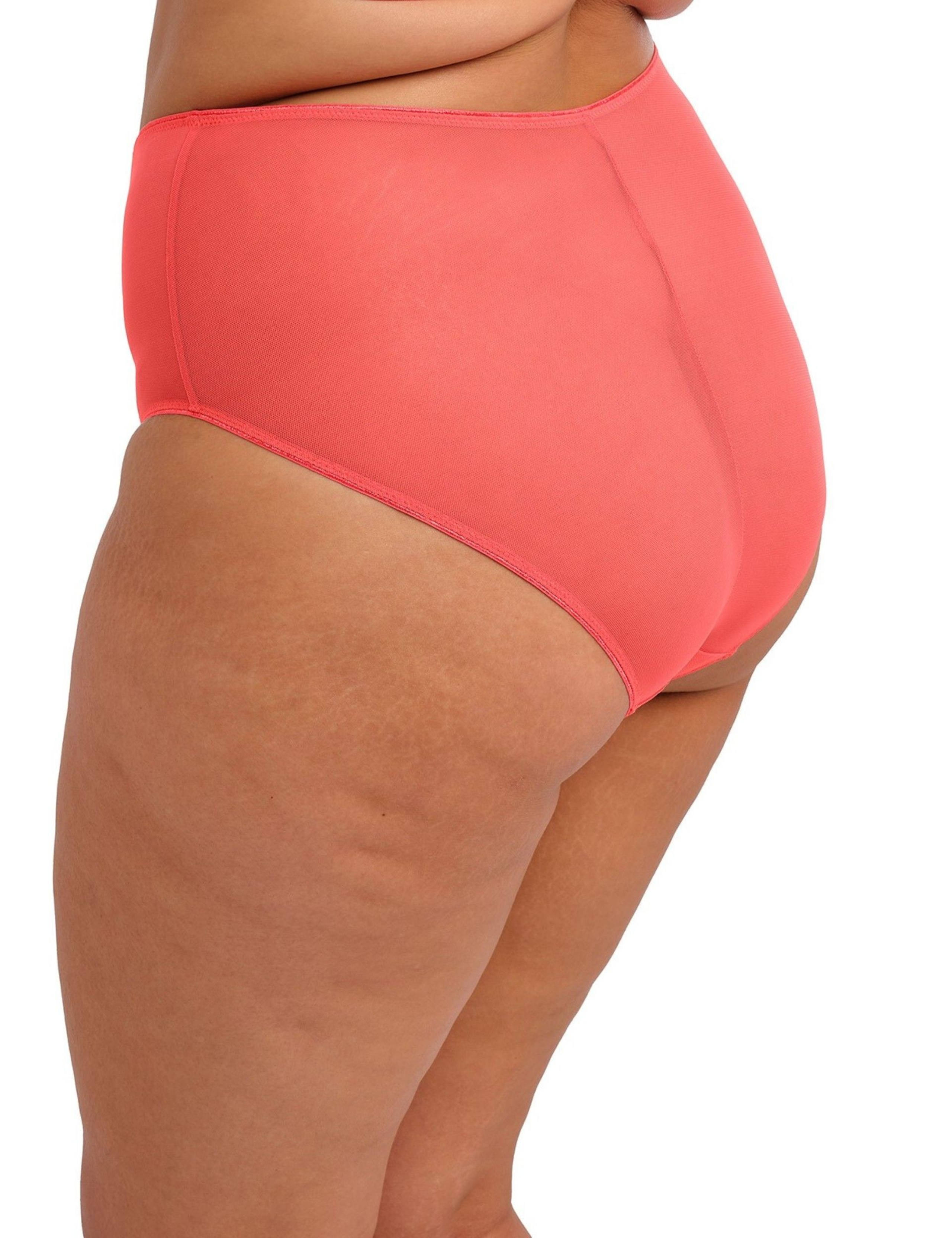 Matilda Embroidered High Waisted Briefs 7 of 7