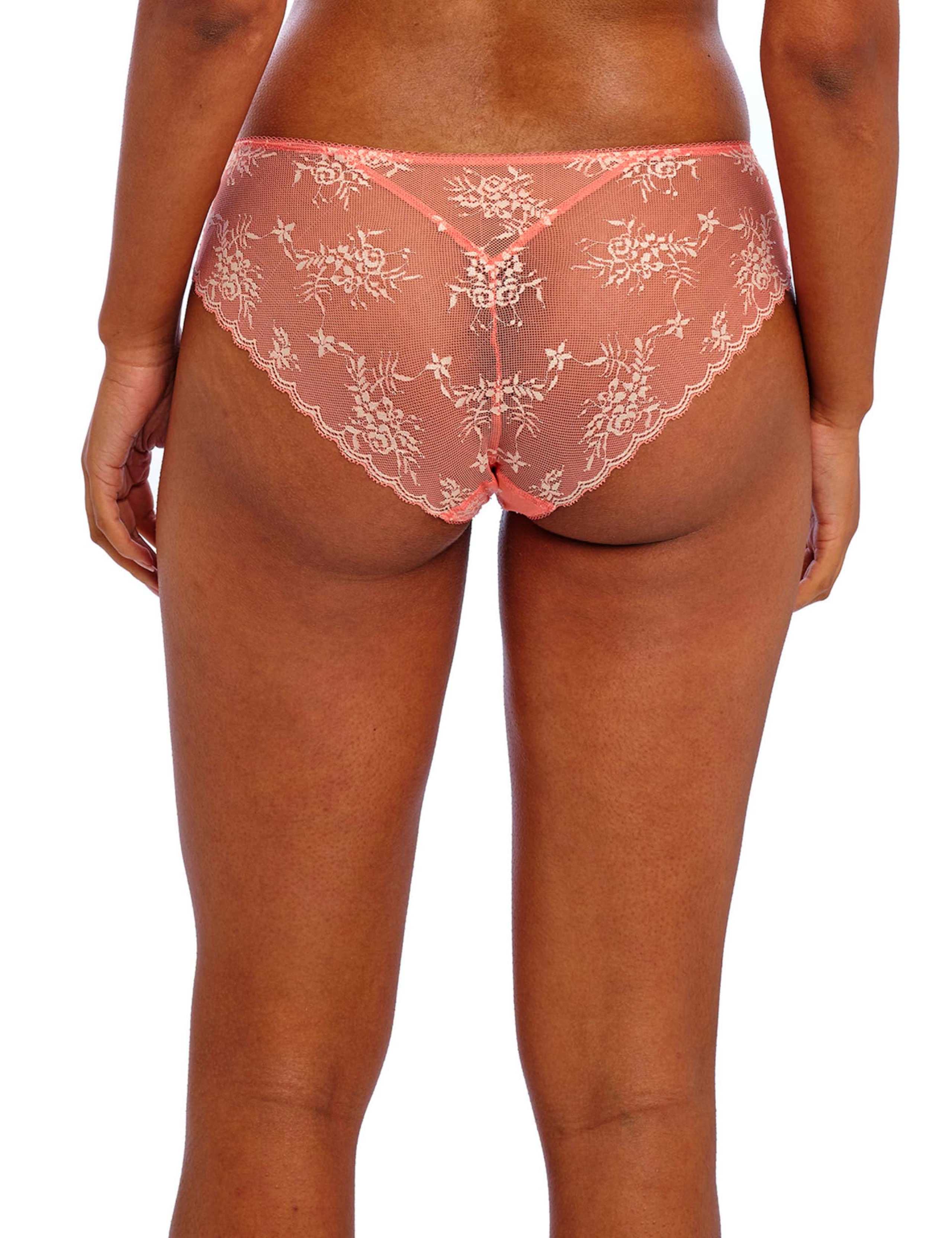 Offbeat Decadence Lace Bikini Knickers 3 of 4
