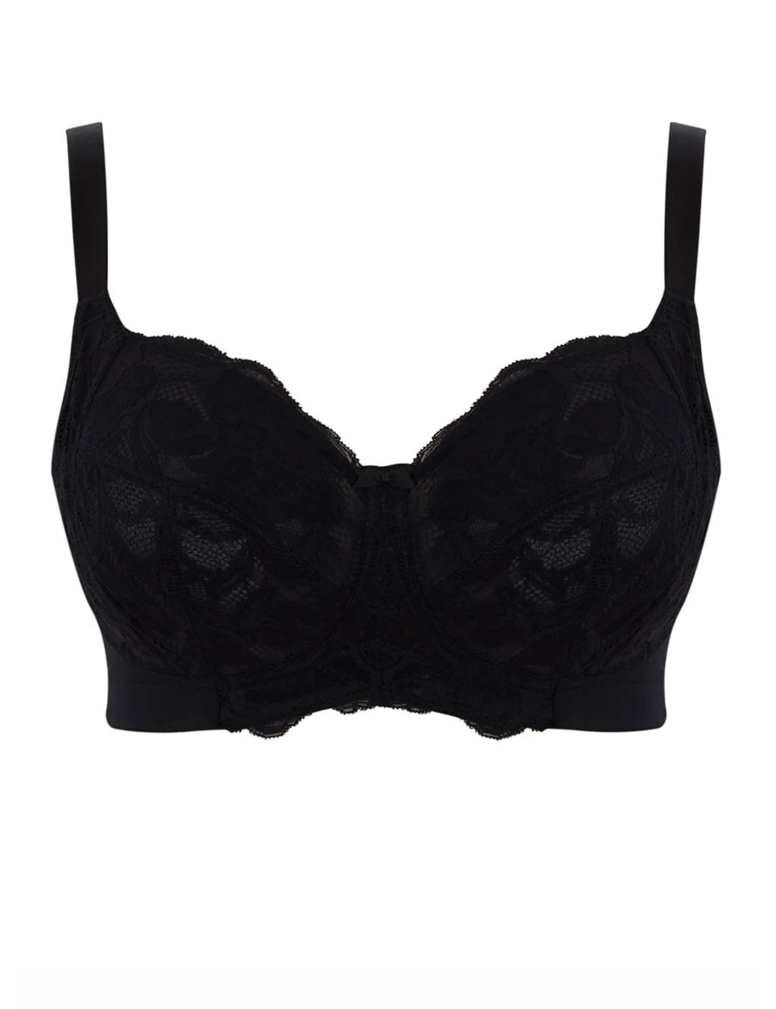 Rocha Lace Non Wired Full Cup Bra (D-J) 2 of 4