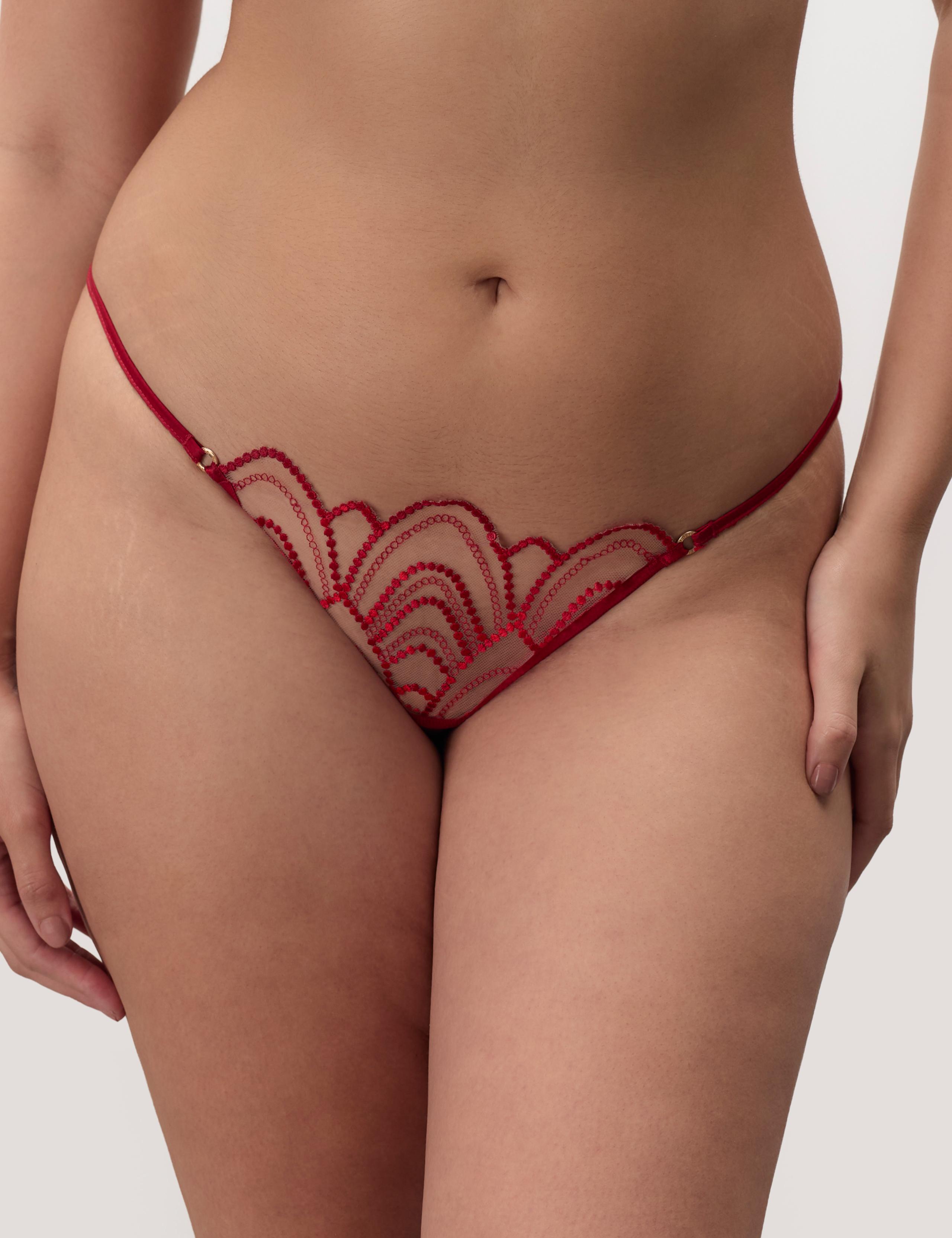 Soraya Embroidered Briefs 1 of 5