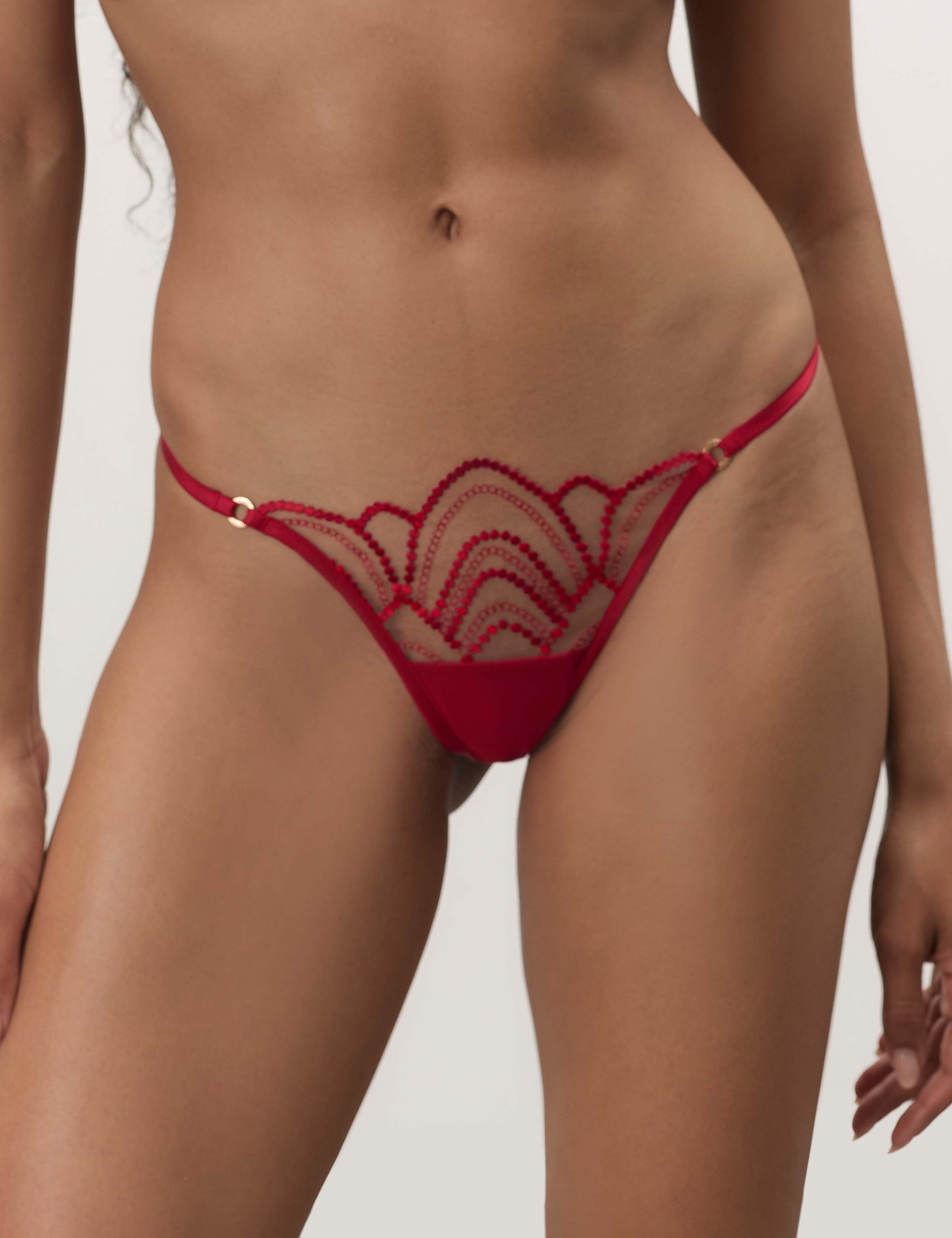 Soraya Embroidered Briefs 3 of 5