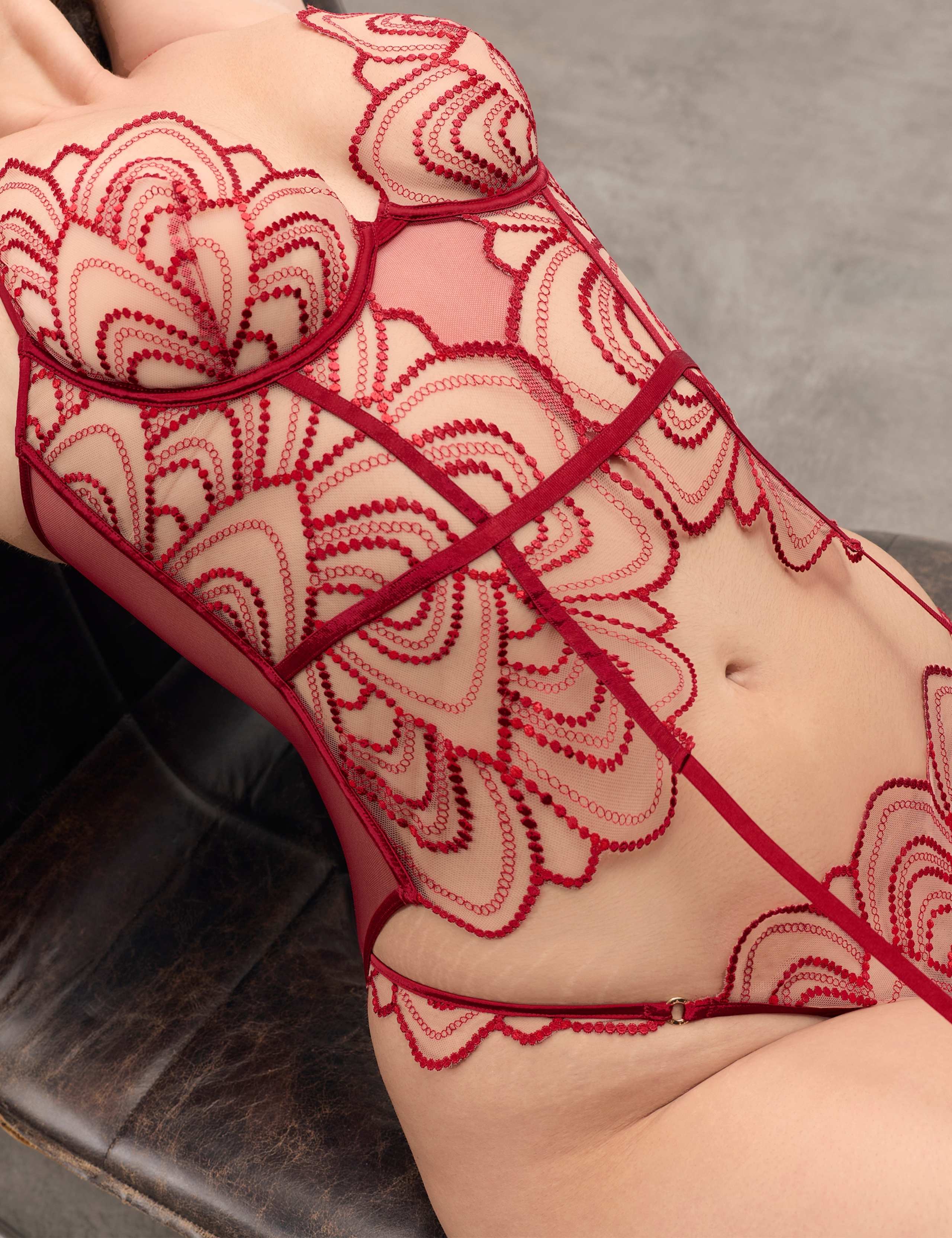 Soraya Mesh Lace Wired Basque (B-DD) 6 of 10